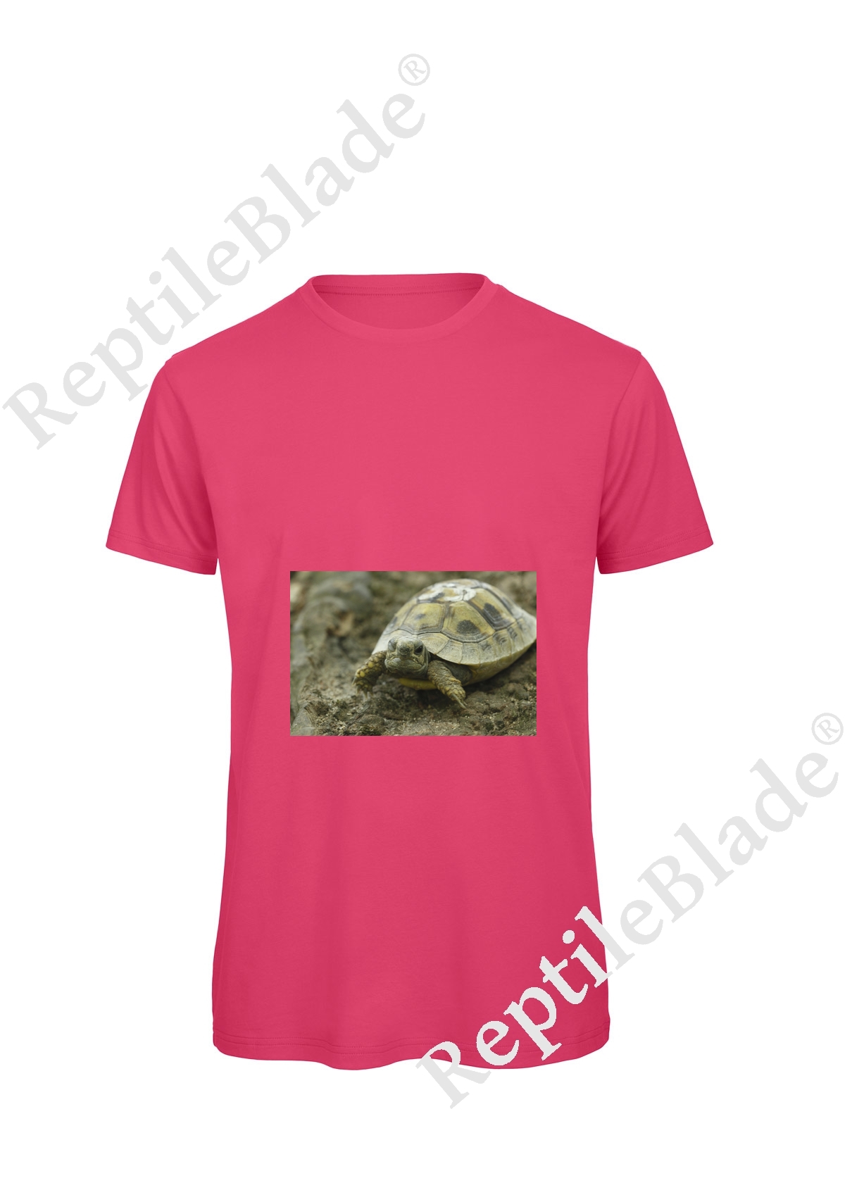 Miniature T-shirt homme "Lilo tortues"