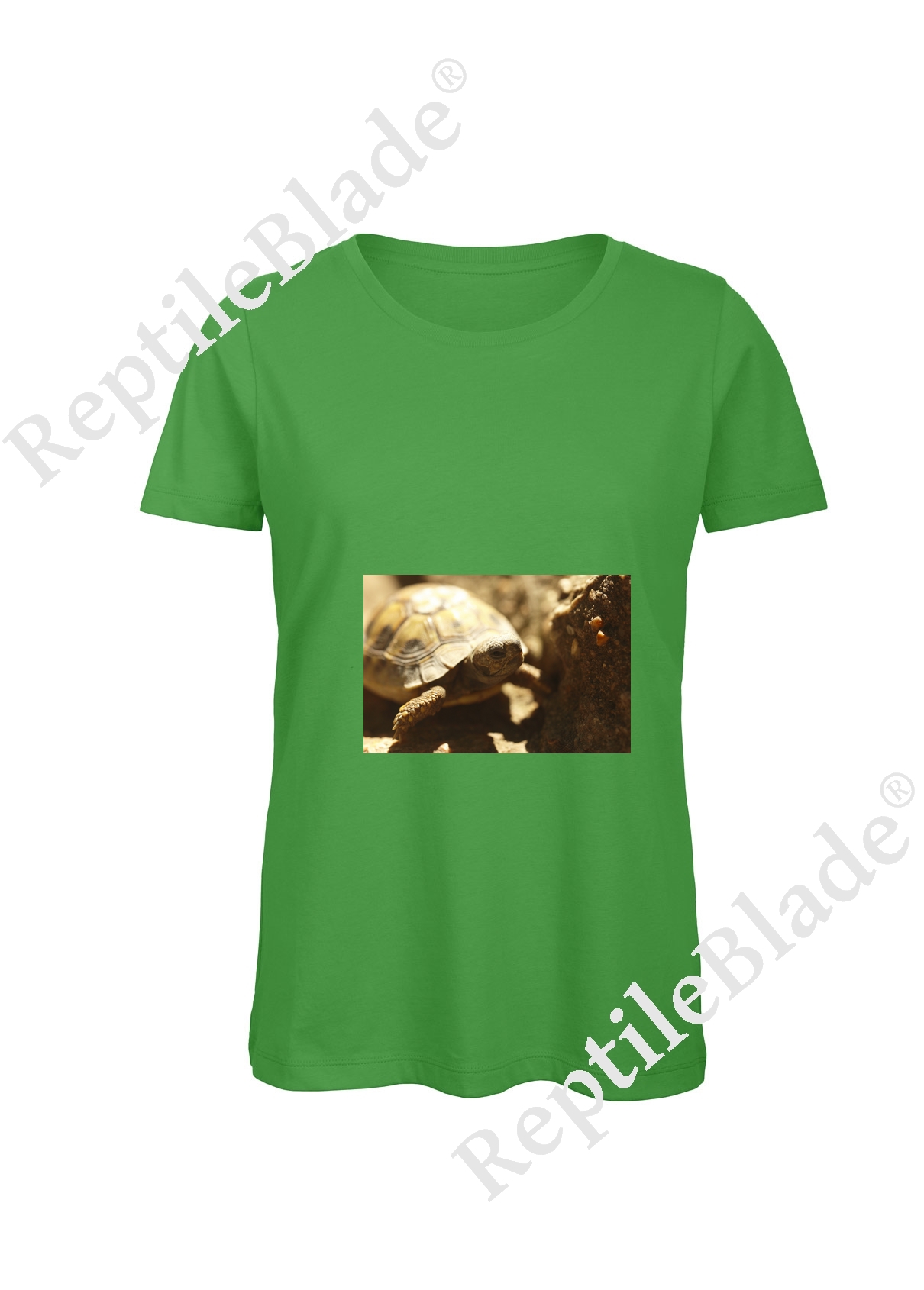 Miniature T-shirt femme "Lilo tortues"