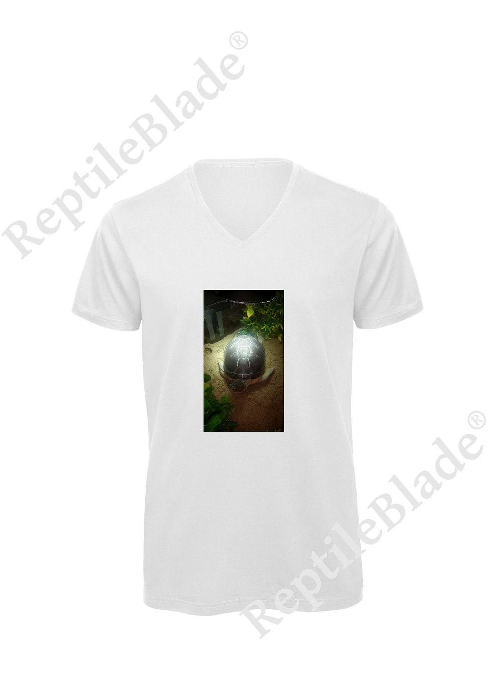 الصورة المصغرة: T-shirt homme col v "Lilo tortues"
