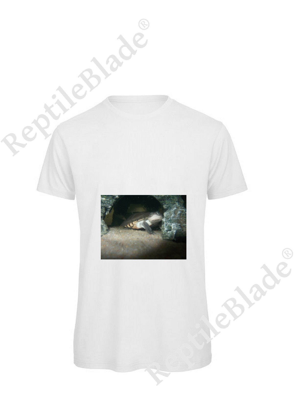 Miniature T-shirt homme "Lilo tortues"