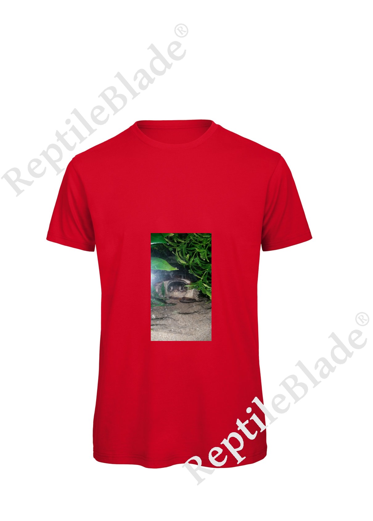 Miniature T-shirt homme "Lilo tortues"