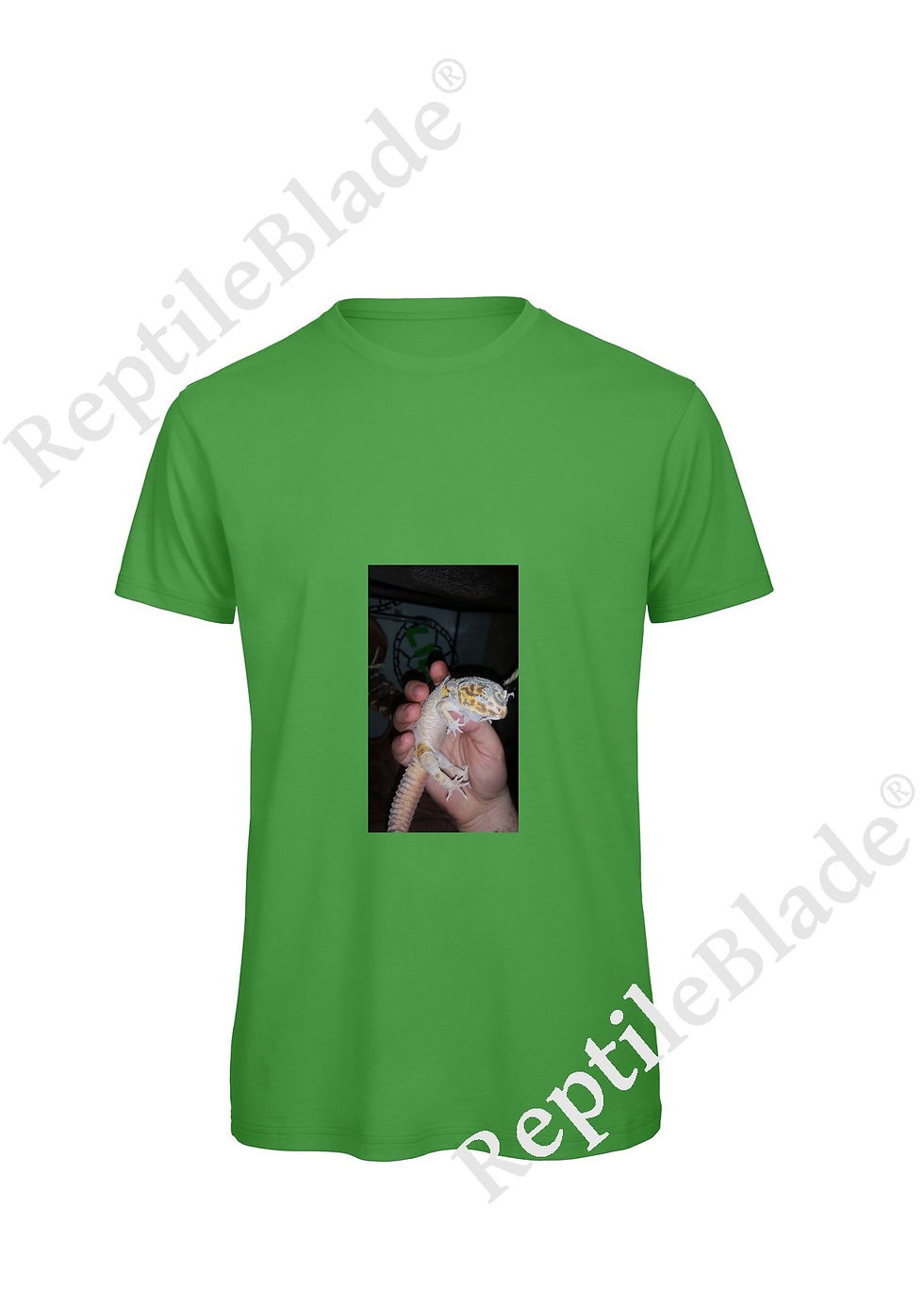 الصورة المصغرة: T-shirt homme "Lilo tortues"