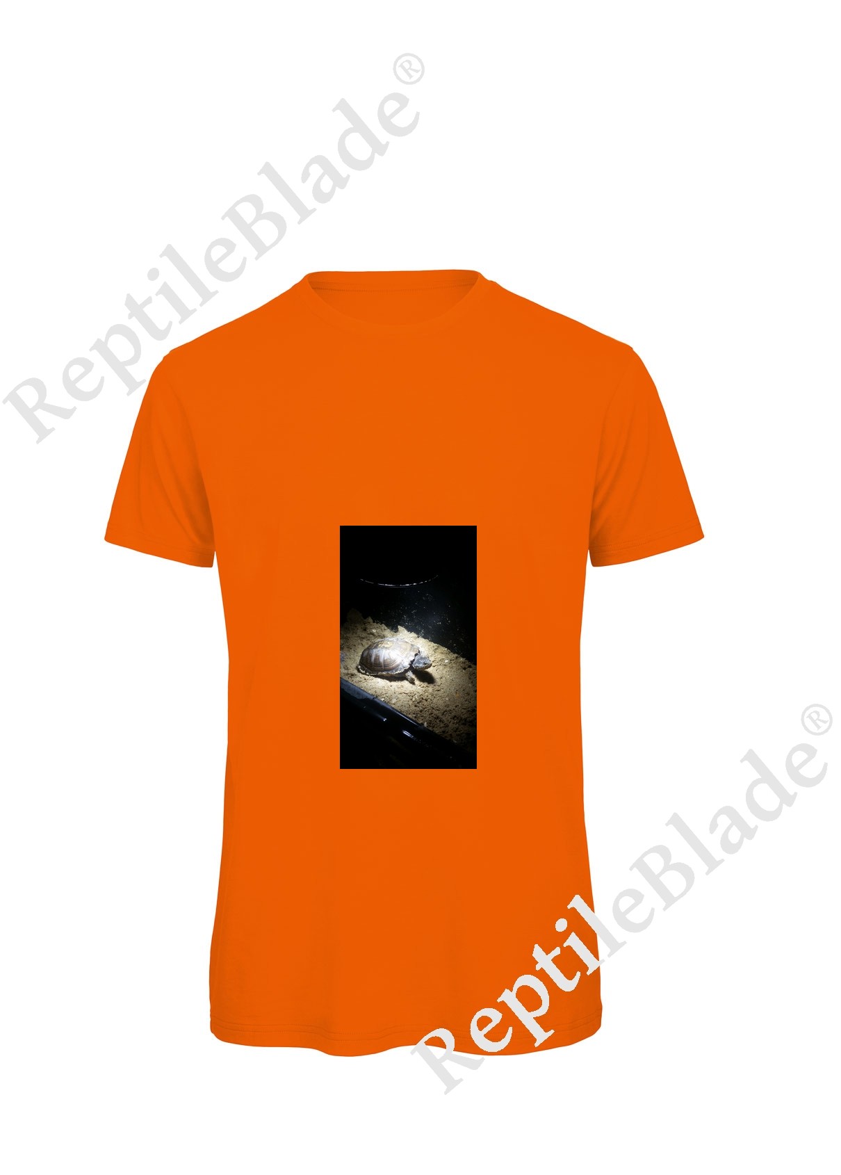 Miniature T-shirt homme "Lilo tortues"