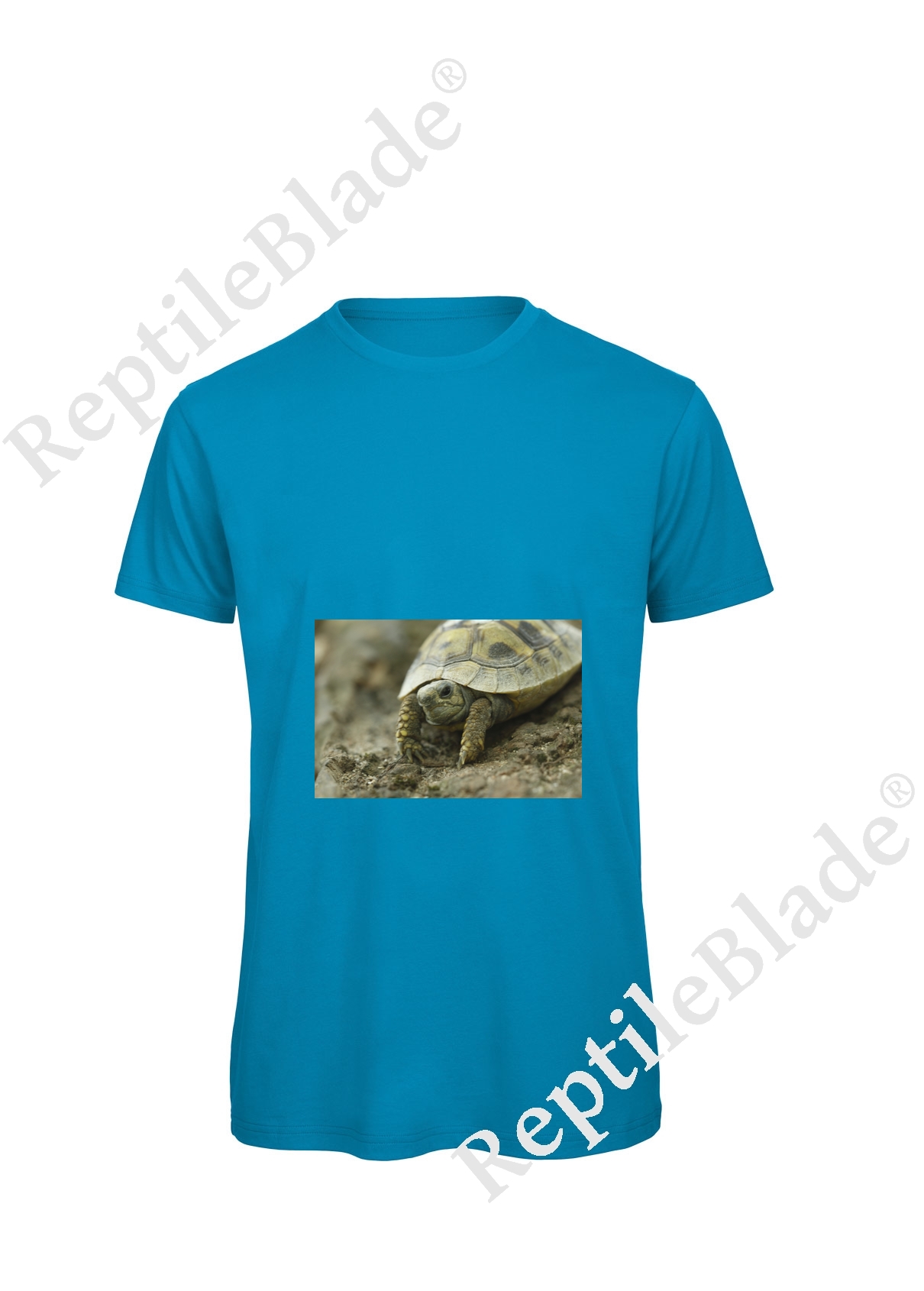 Miniature T-shirt homme "Lilo Tortues"