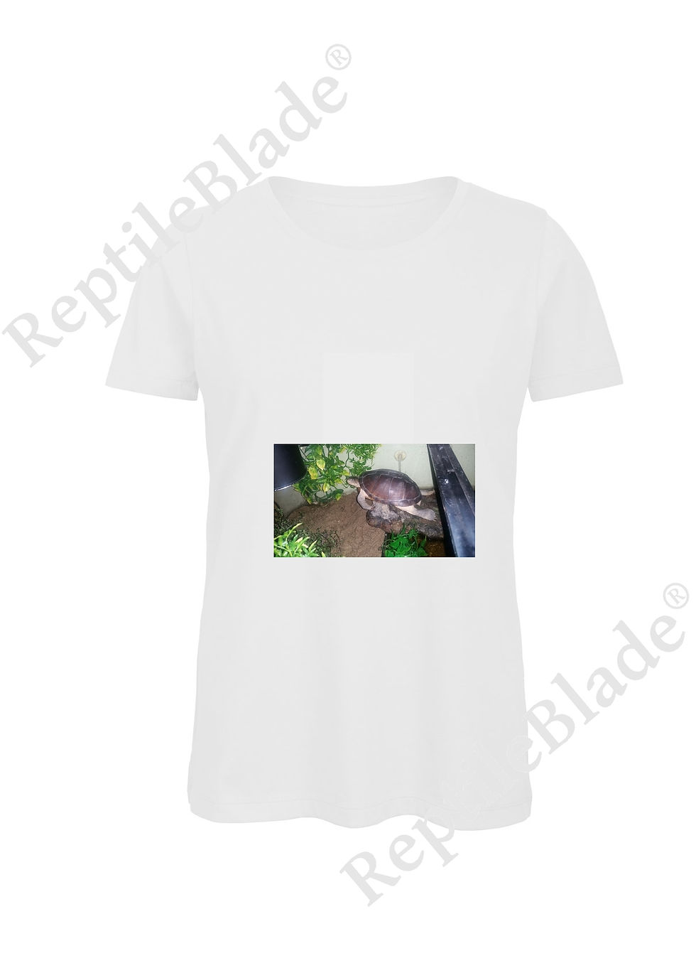 Miniaturbild: T-shirt femme "Lilo tortues"