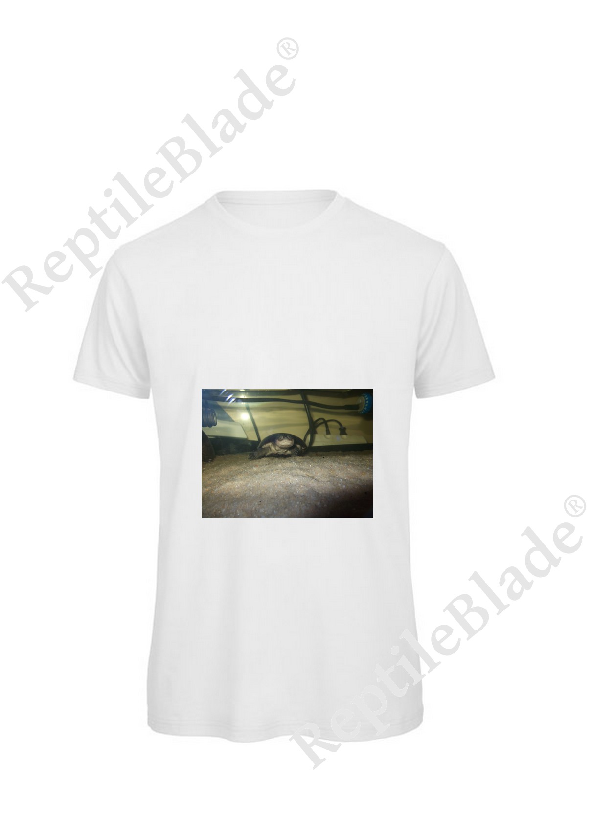 Miniature T-shirt homme "Lilo tortues"