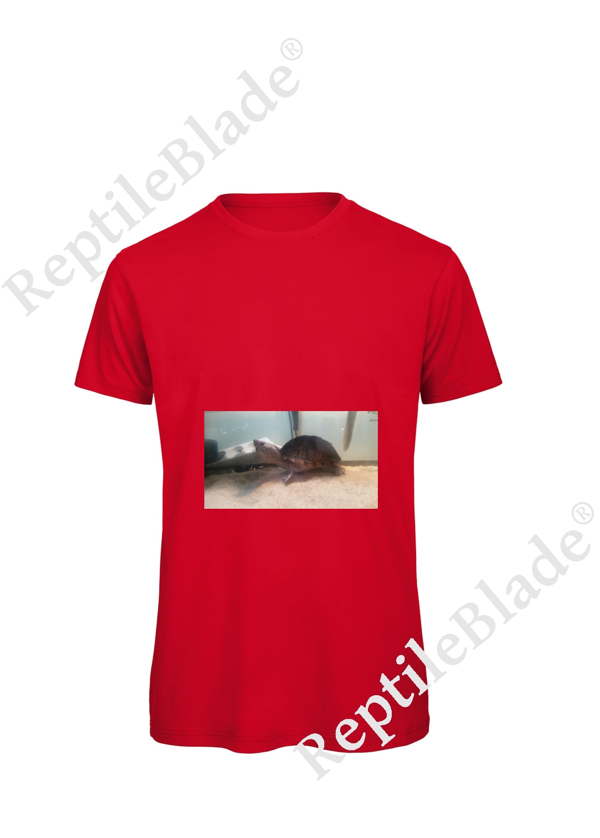 Miniature T-shirt homme "Lilo tortues"