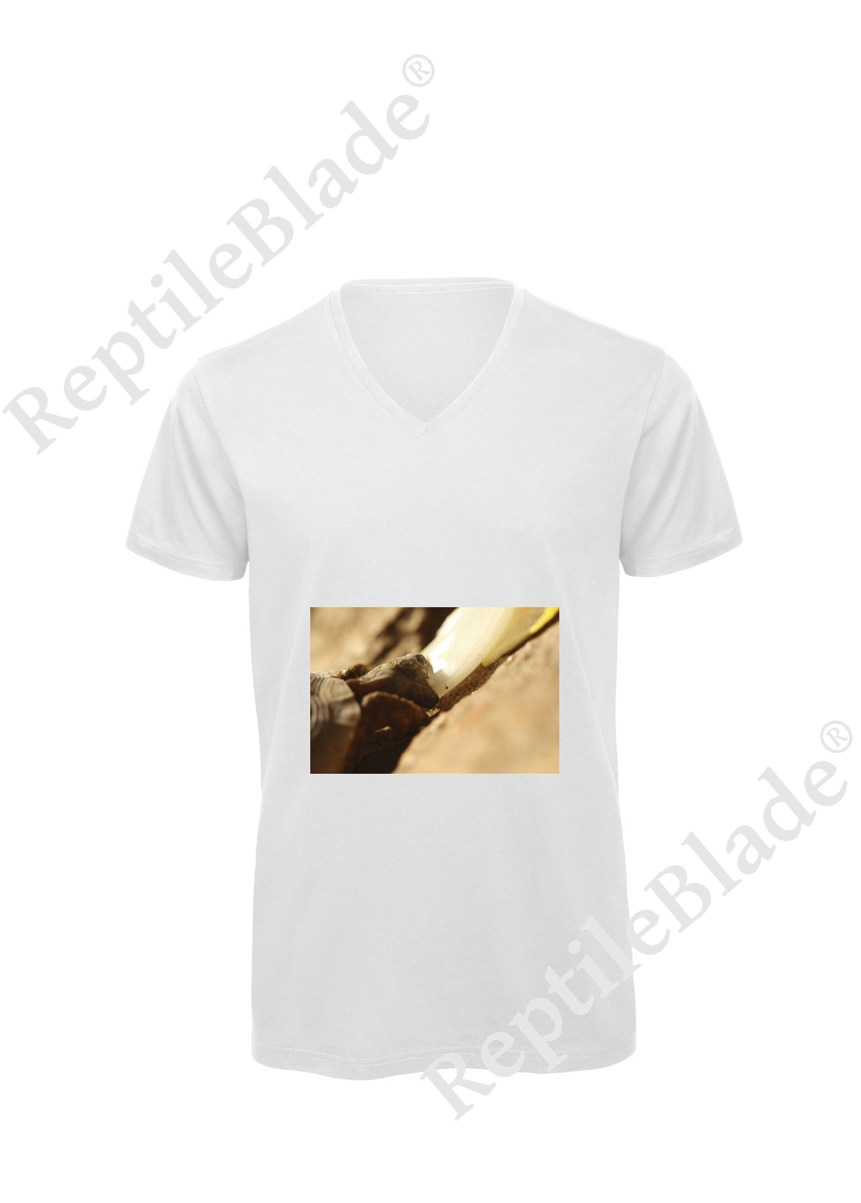 Miniature T-shirt homme col v "Lilo tortues"
