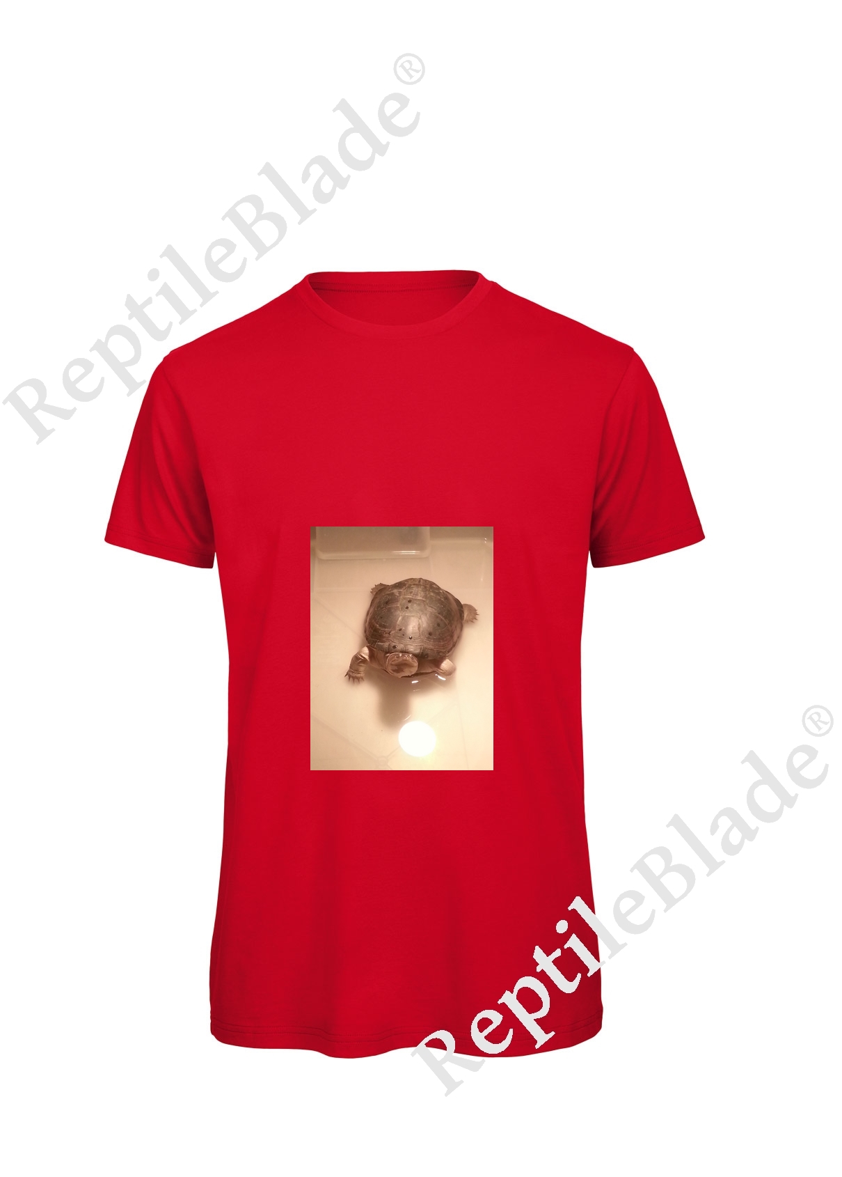 Miniature T-shirt homme "Lilo tortues"