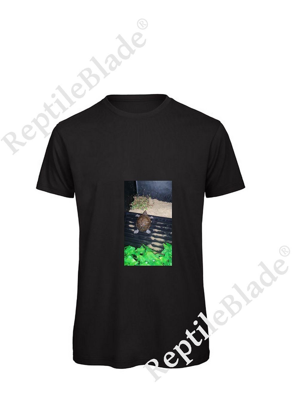 サムネイル： T-shirt homme "Lilo tortues"