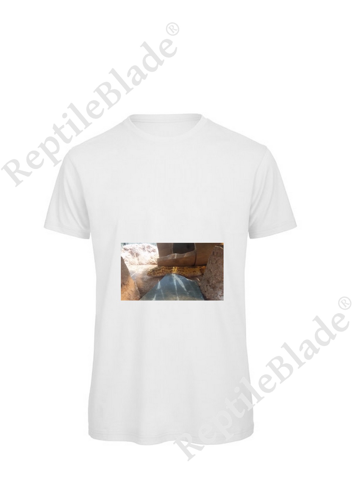 Miniature T-shirt homme "Lilo tortues"