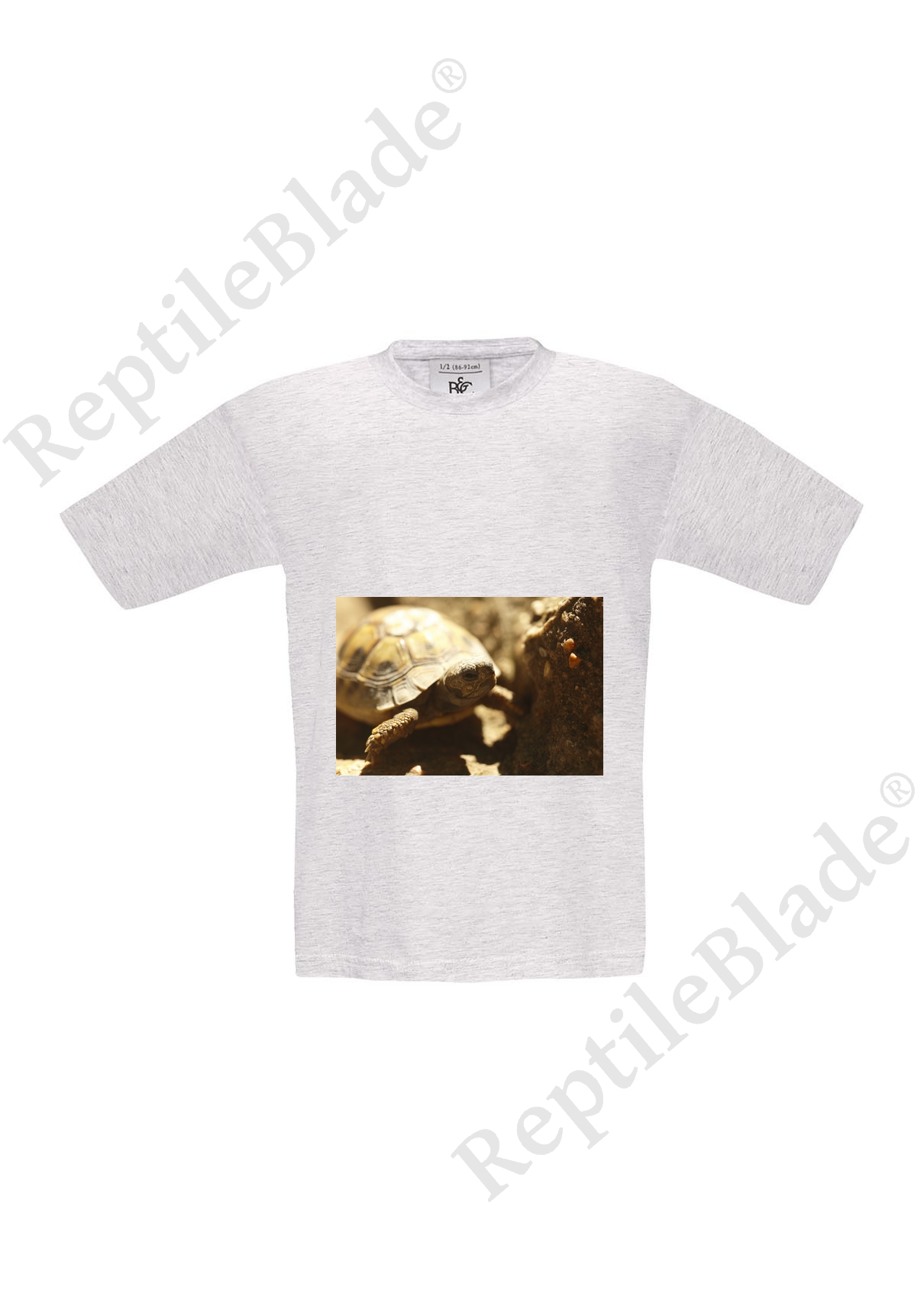 Miniature T-shirt enfant "Lilo tortues"