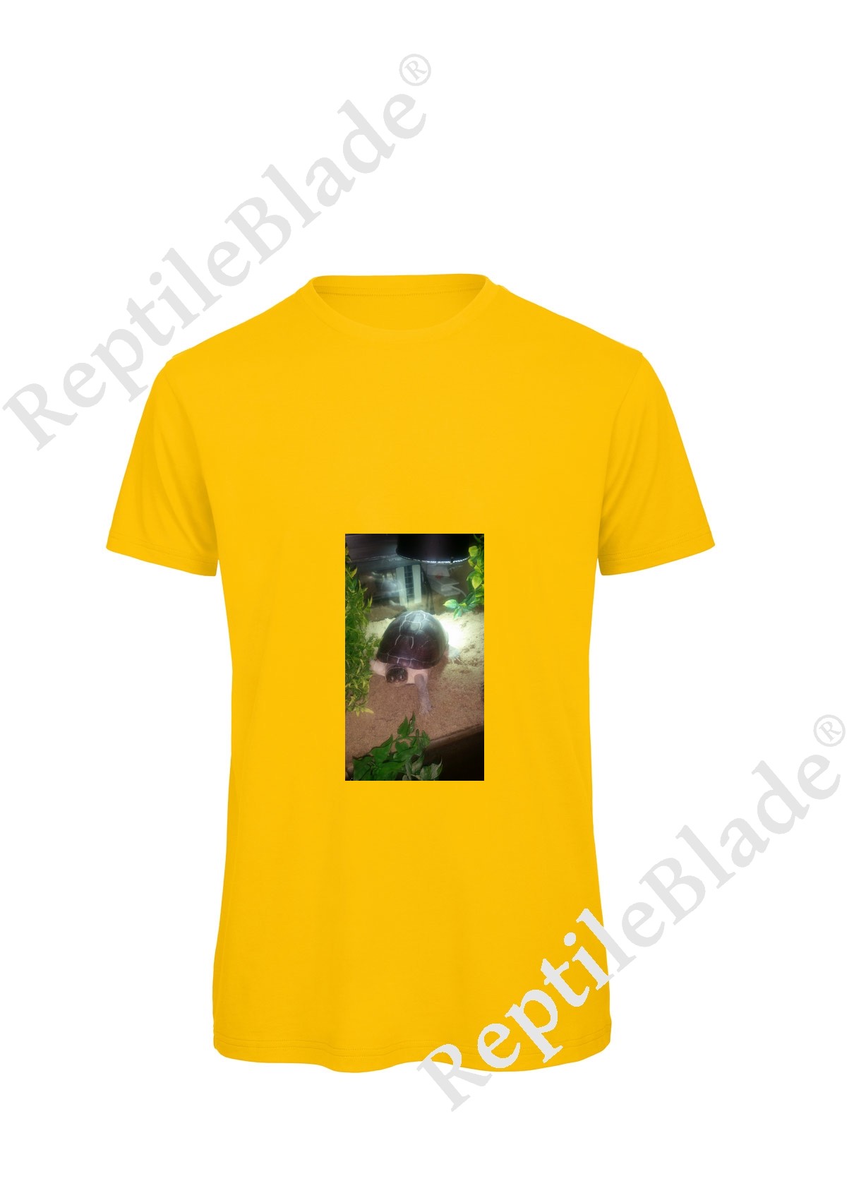 Miniature T-shirt homme "Lilo tortues"