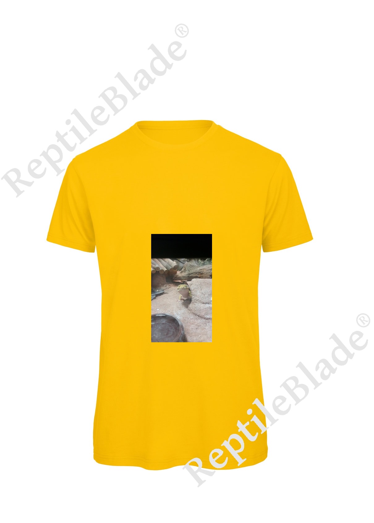 Miniature T-shirt homme "Lilo tortues"