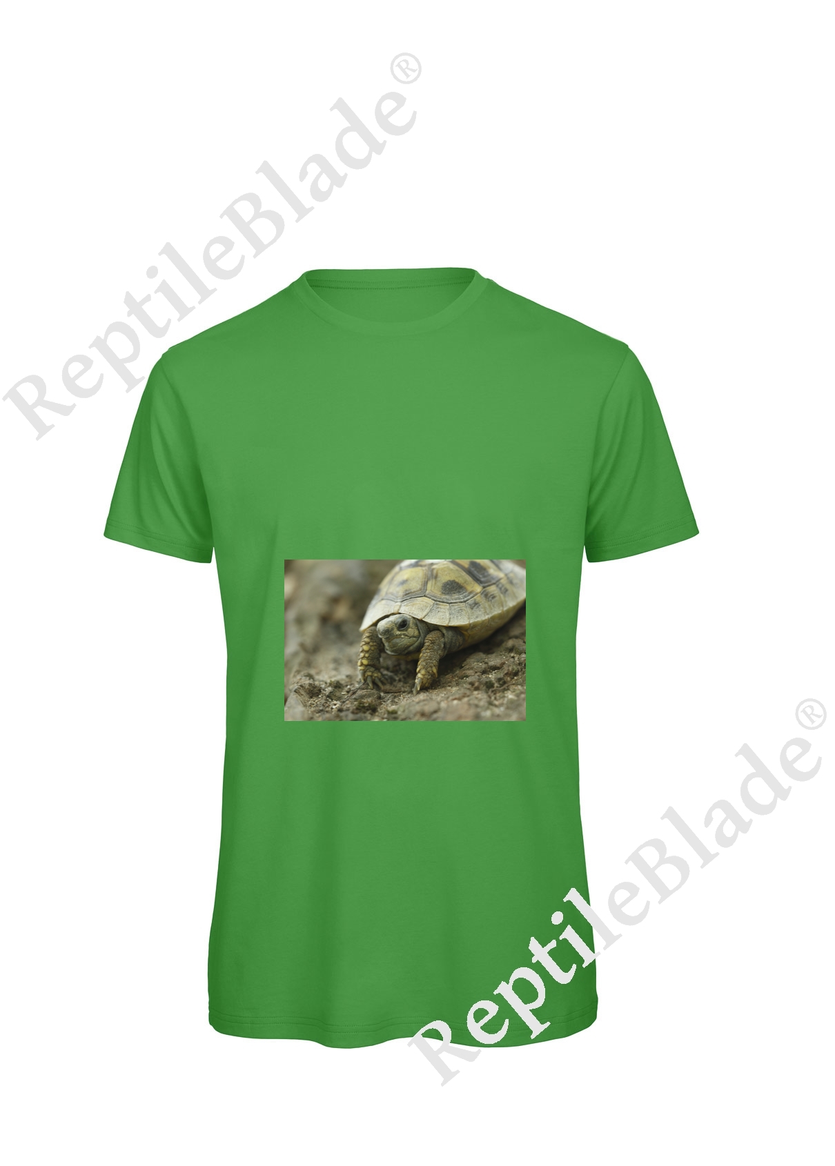 T-shirt homme "Lilo Tortues"