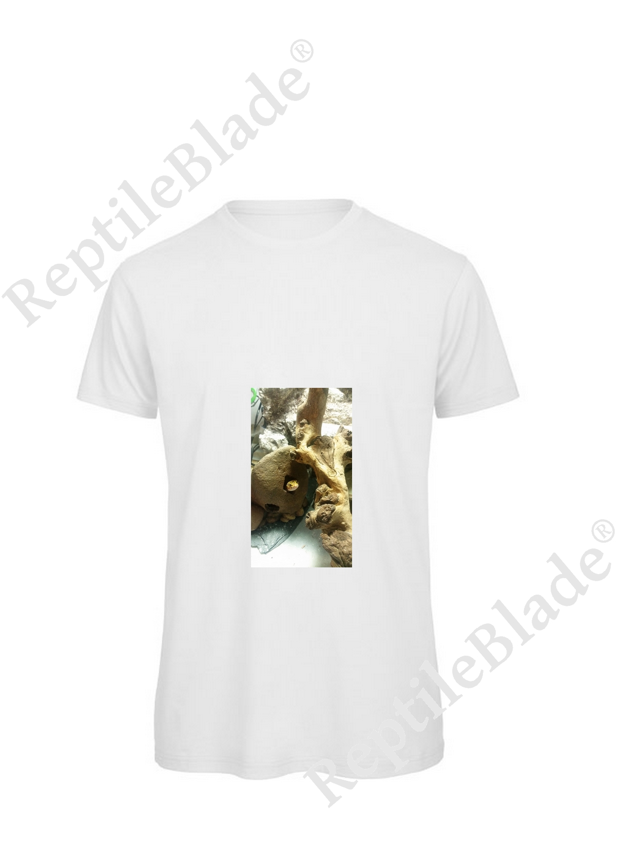 Miniature T-shirt homme "Lilo tortues"