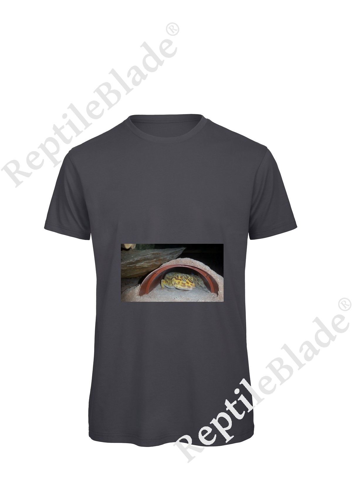 Miniature T-shirt homme "Lilo tortues"