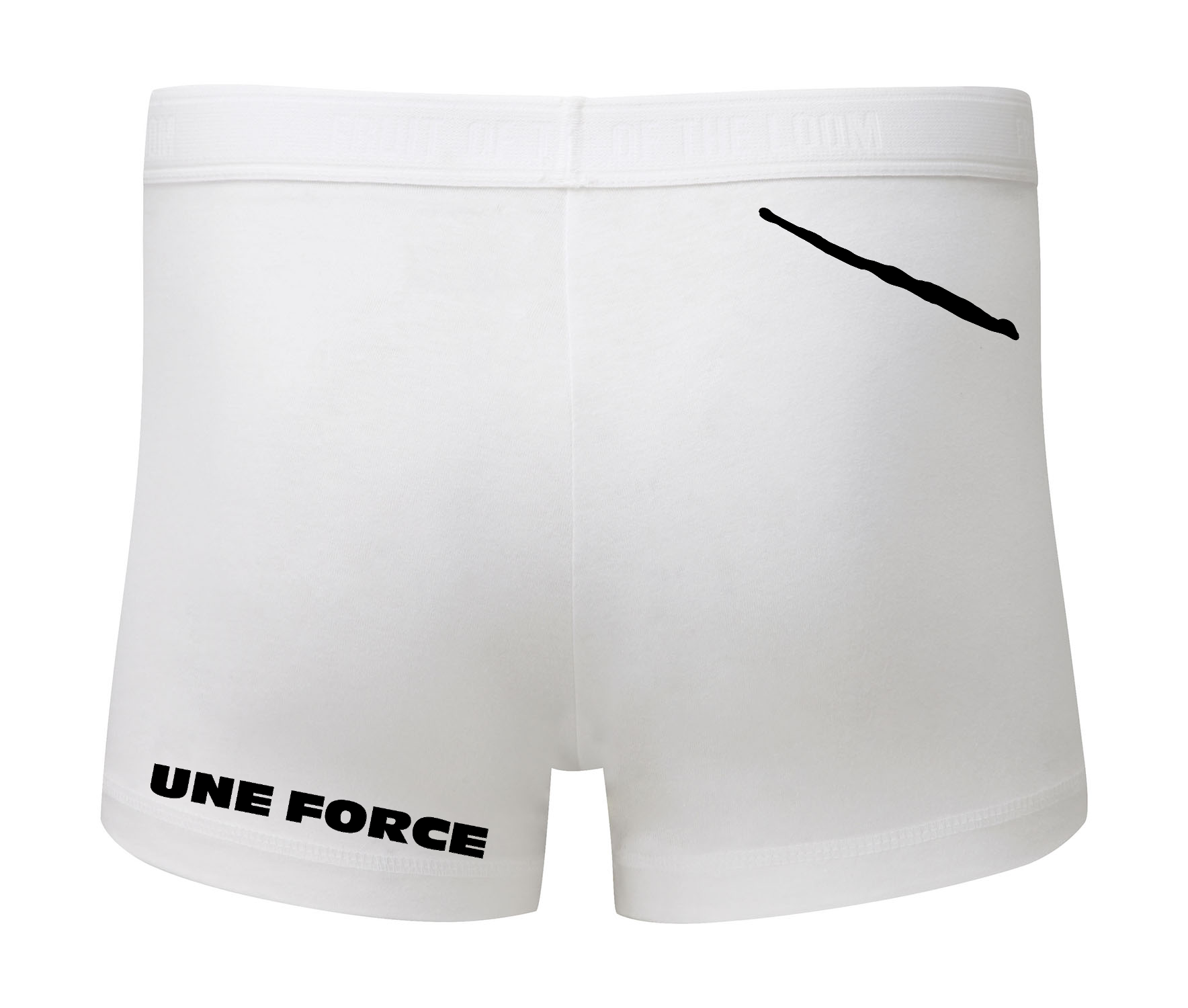 Miniature Boxer classic shorty