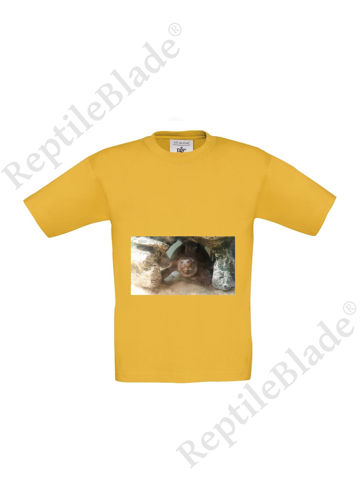 Miniature T-shirt enfant "Lilo tortues"