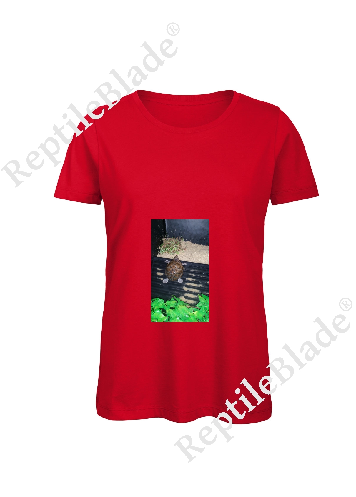 Miniature T-shirt femme "Lilo tortues"