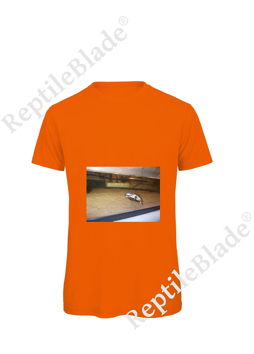 縮圖：T-shirt homme "Lilo tortues"