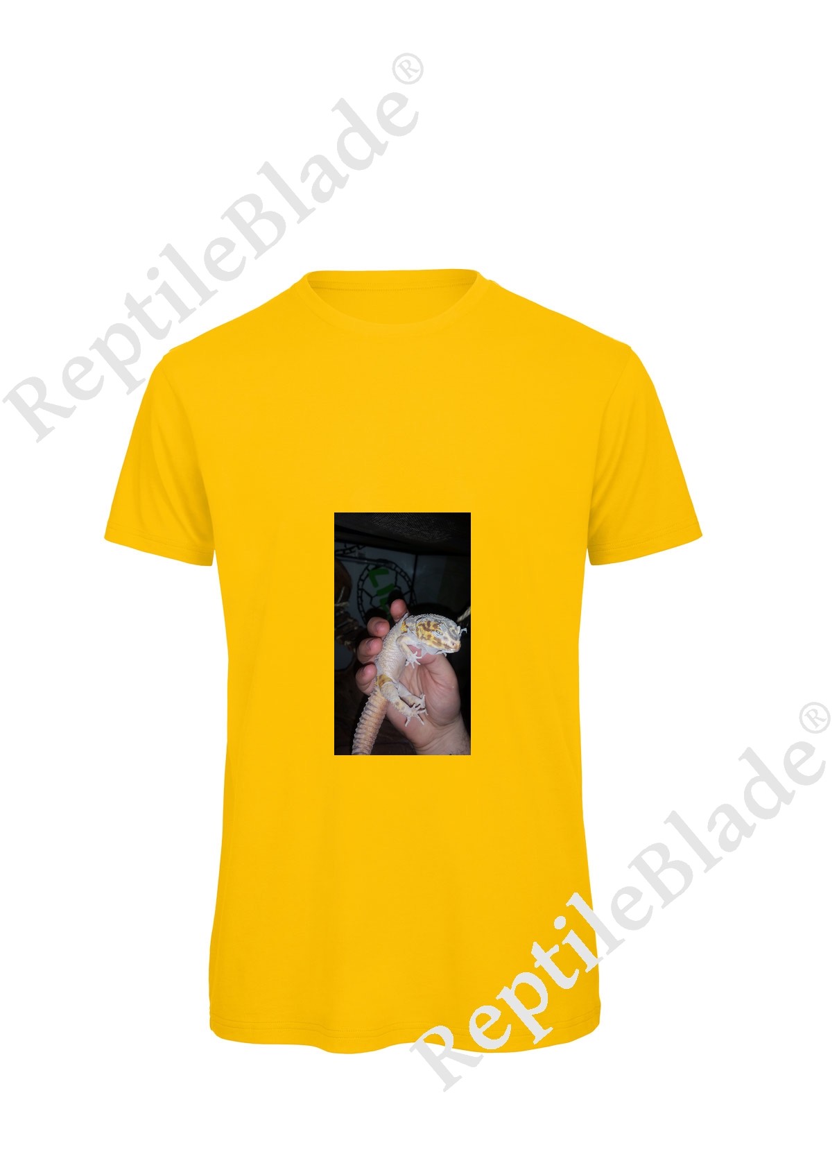 Miniature T-shirt homme "Lilo tortues"