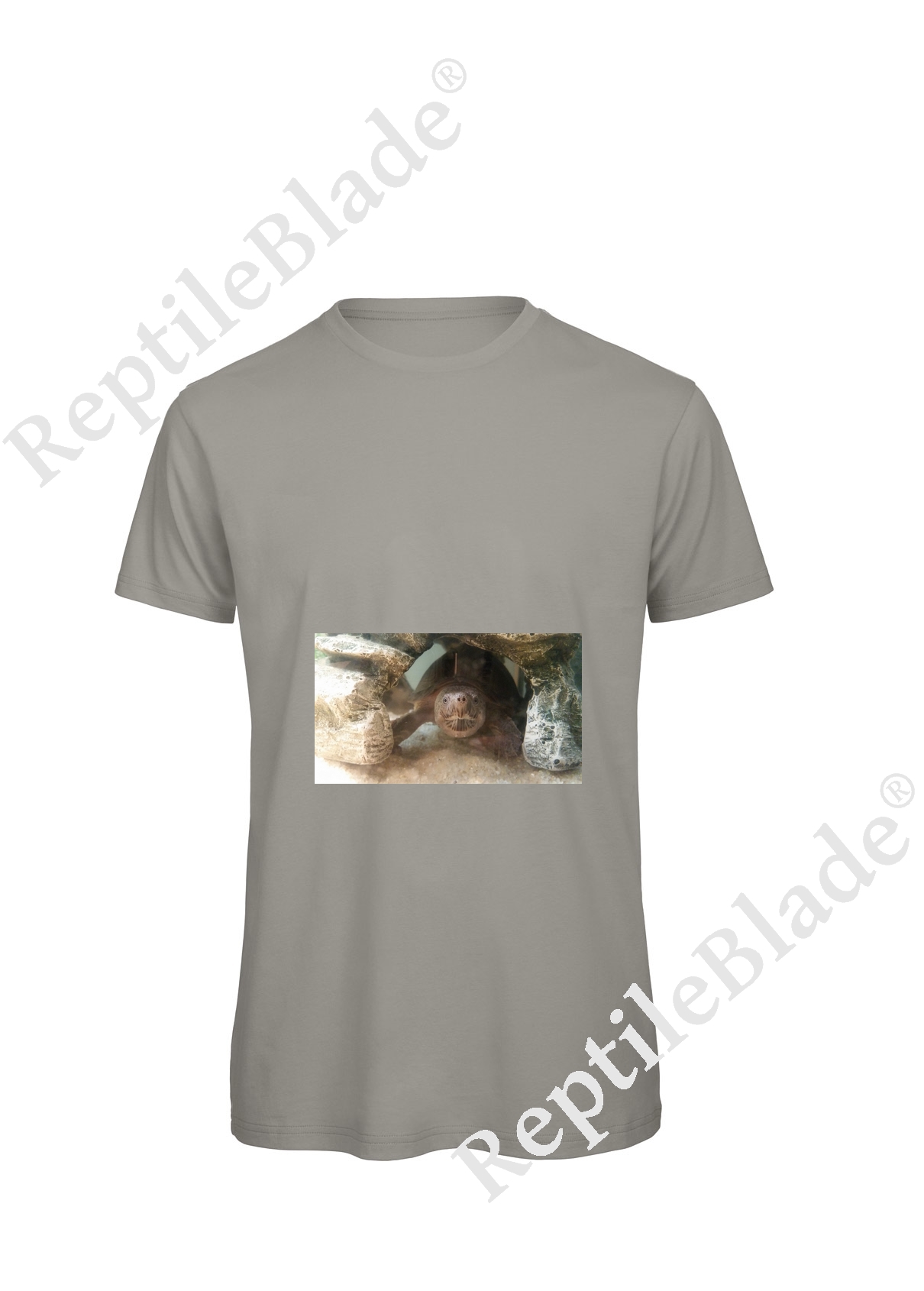 Miniature T-shirt homme "Lilo tortues"