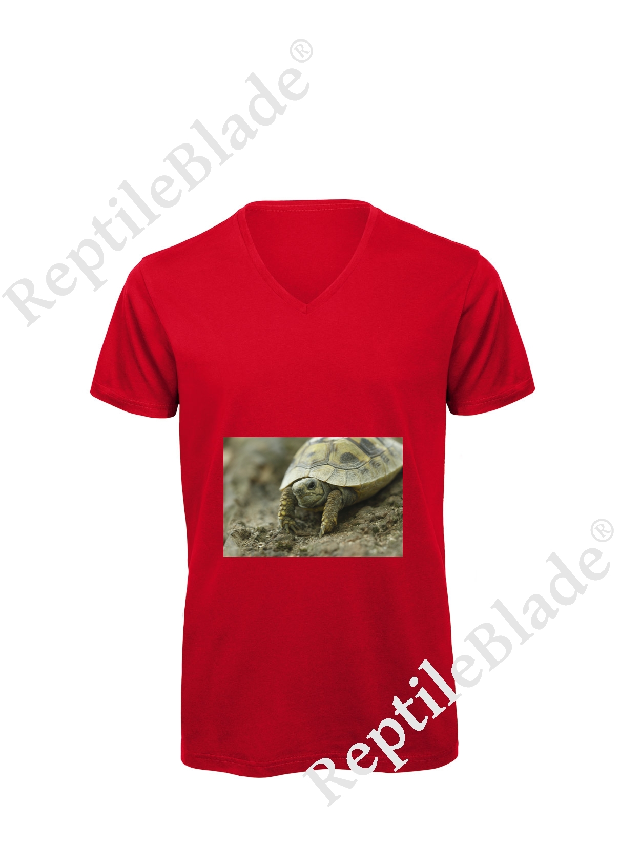 Miniature T-shirt homme col v "Lilo tortues"
