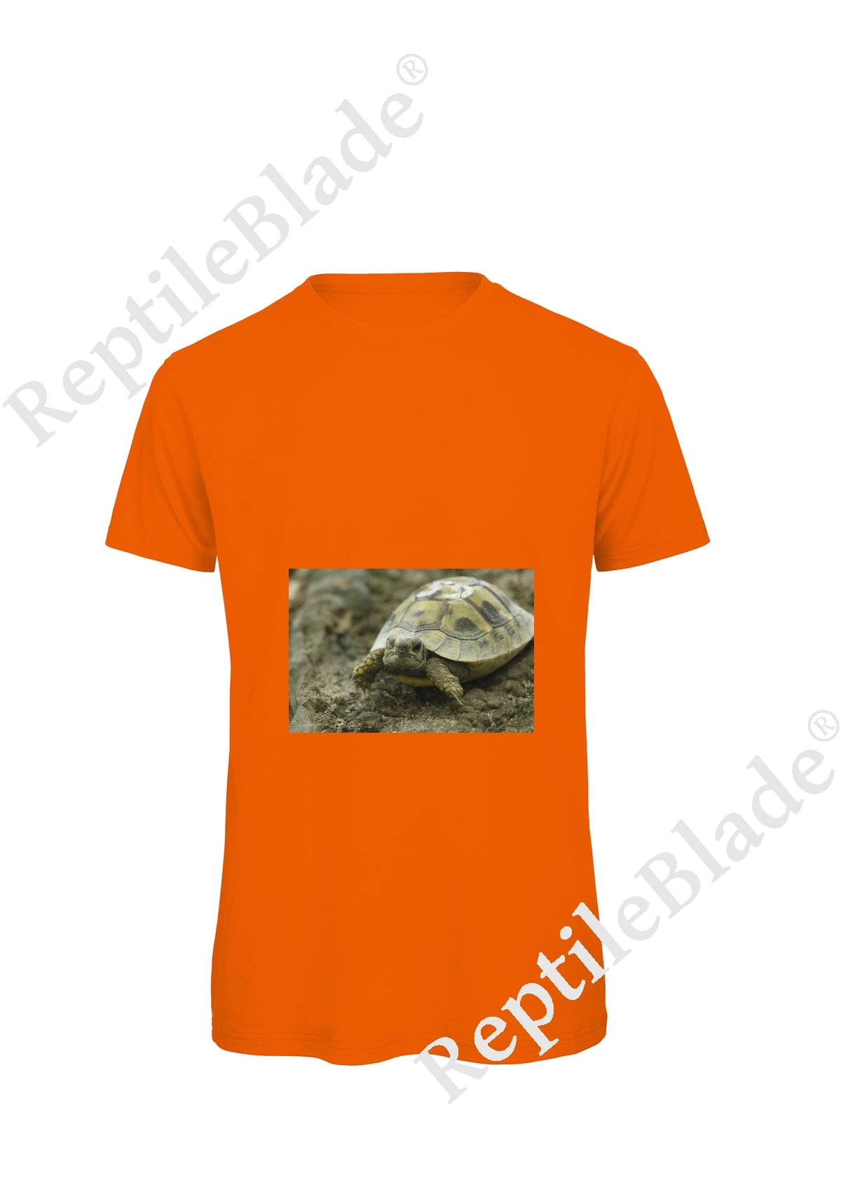 Miniature T-shirt homme "Lilo tortues"