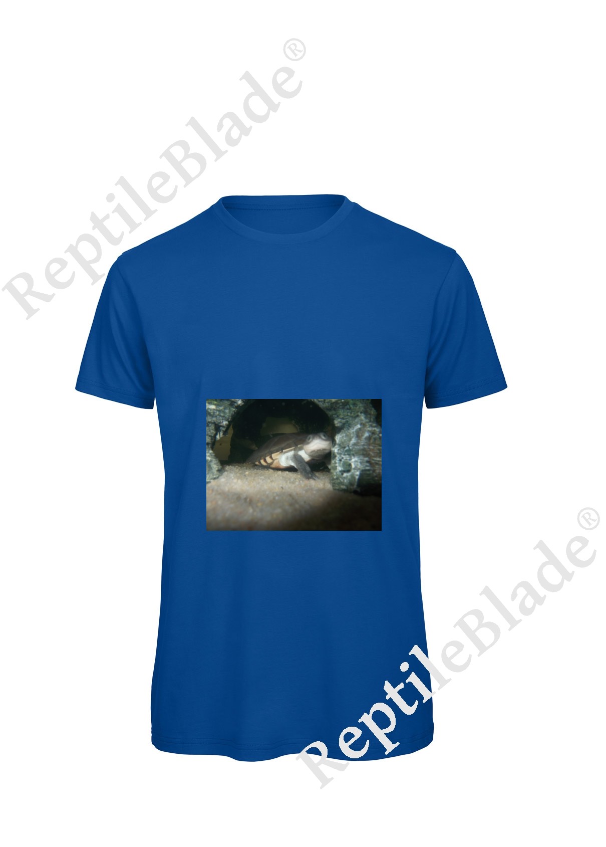 Miniature T-shirt homme "Lilo tortues"