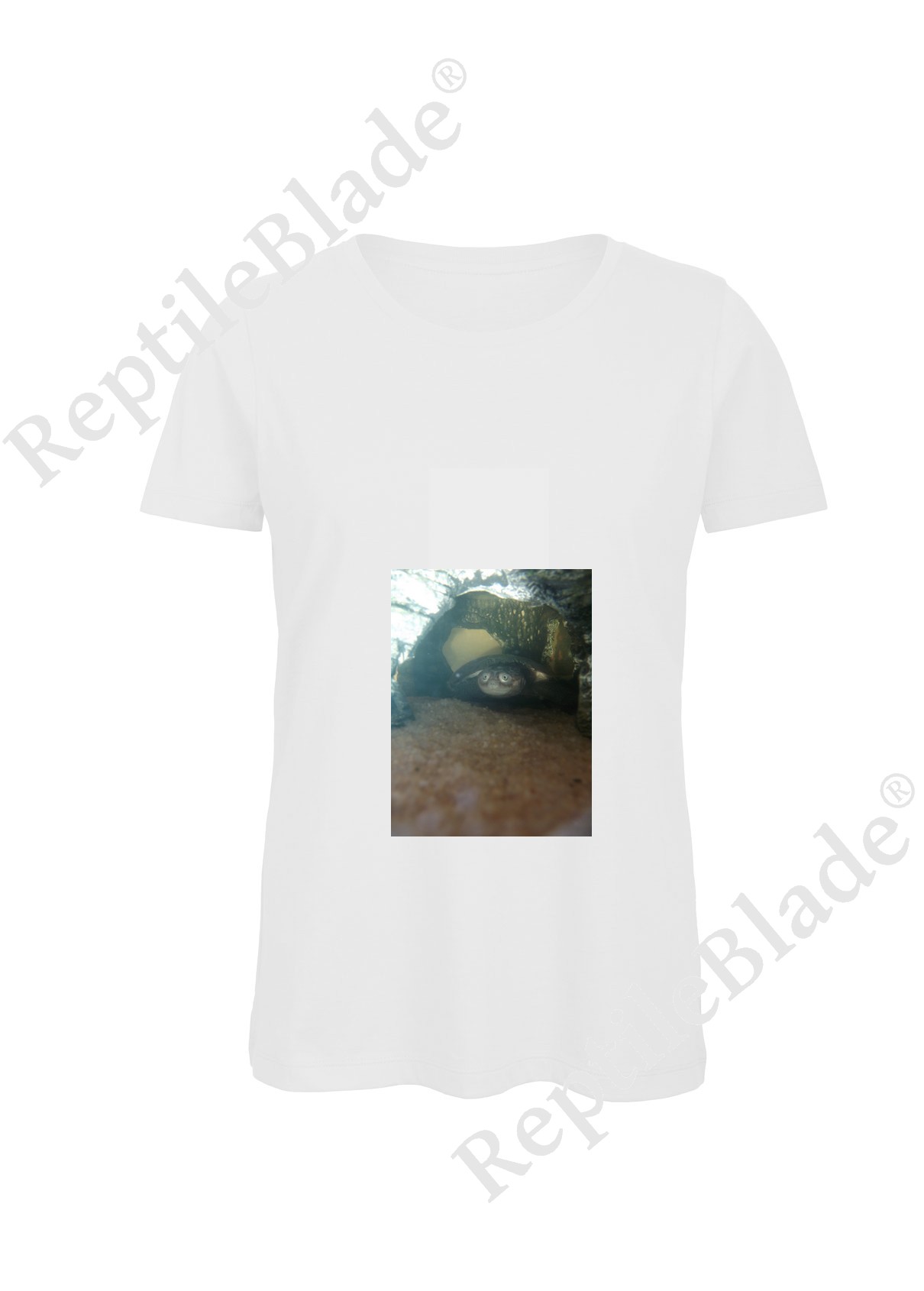 T-shirt femme "Lilo tortues"