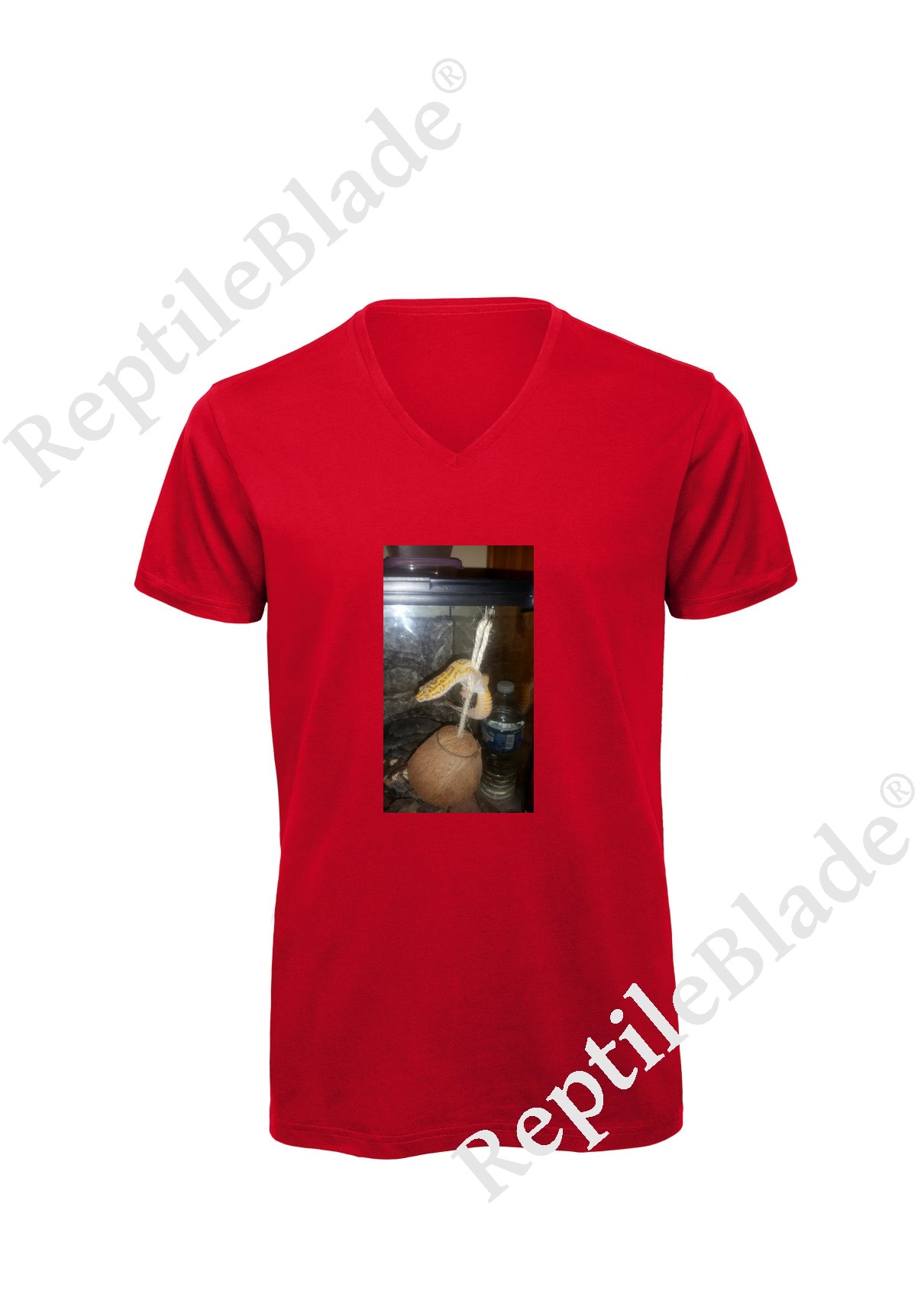 Miniature T-shirt homme col v "Lilo tortues"