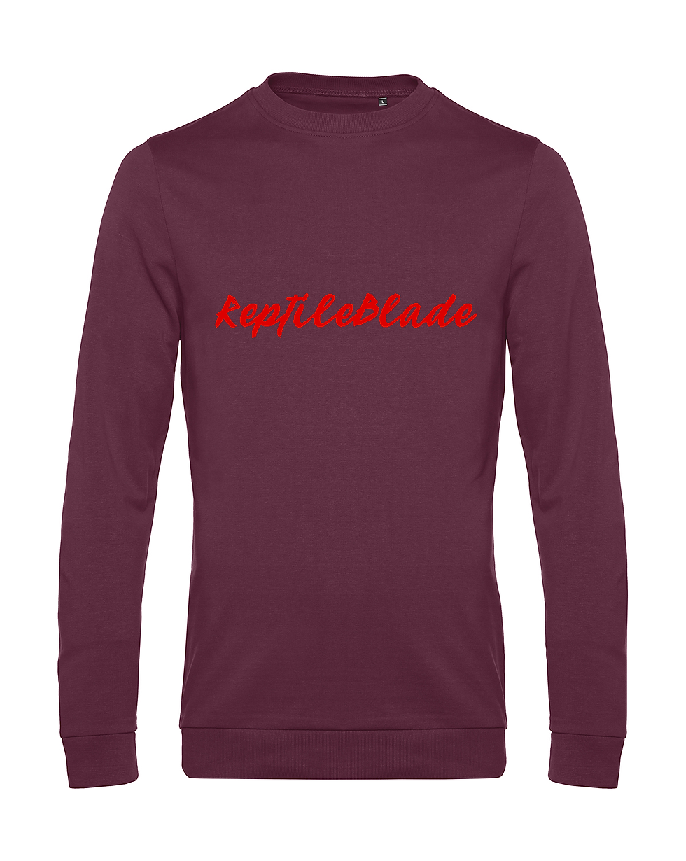 תמונה ממוזערת: Sweat-shirt homme "ReptileBlade"