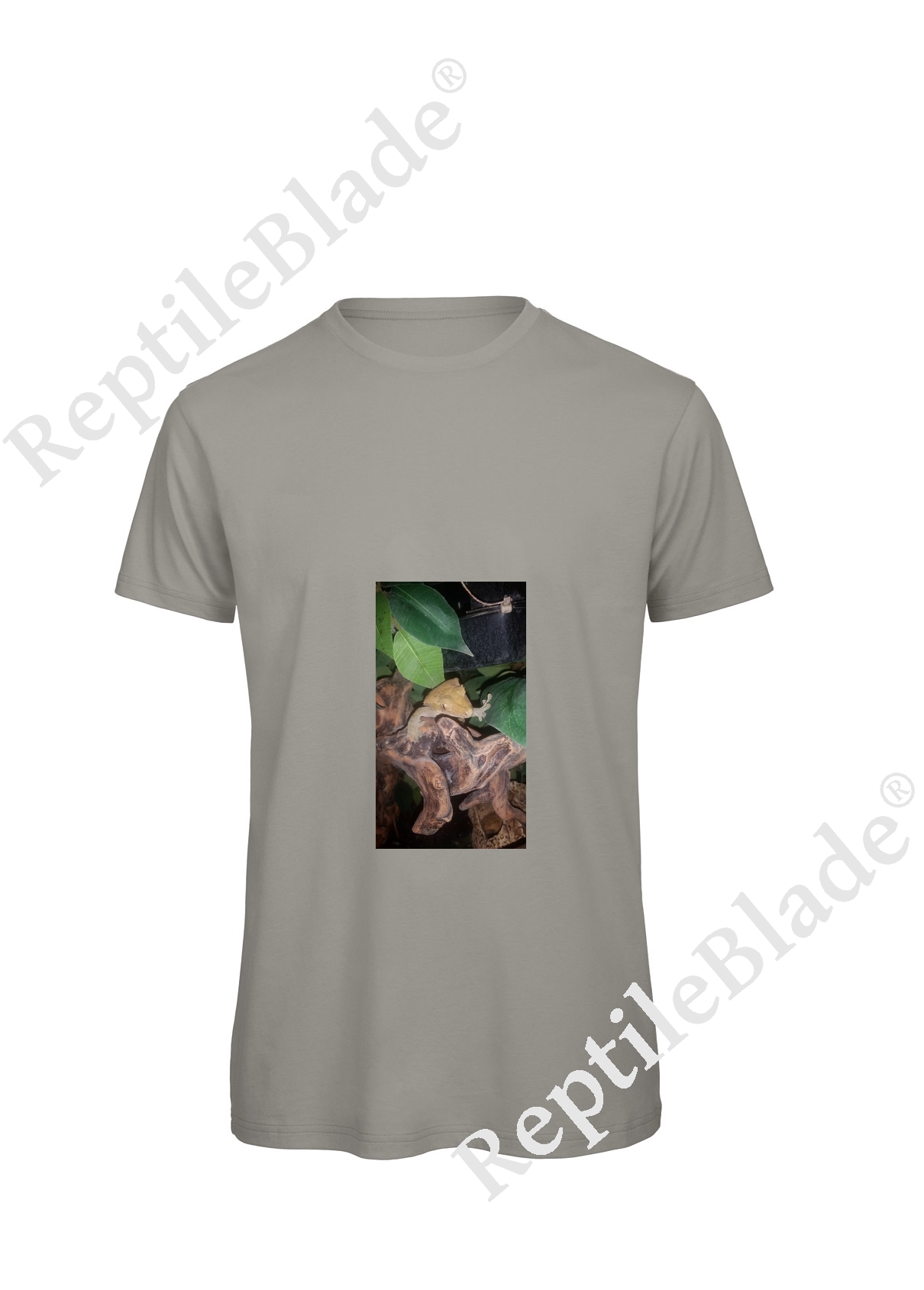 Miniature T-shirt homme "Lilo tortues"