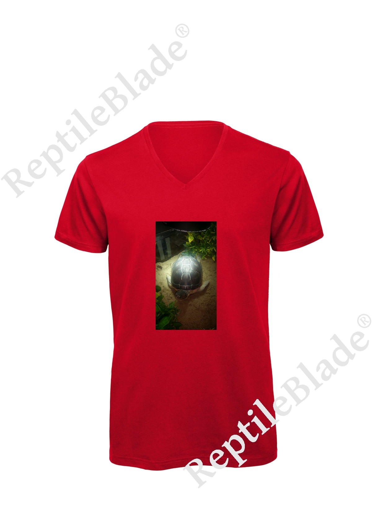 Miniature T-shirt homme col v "Lilo tortues"