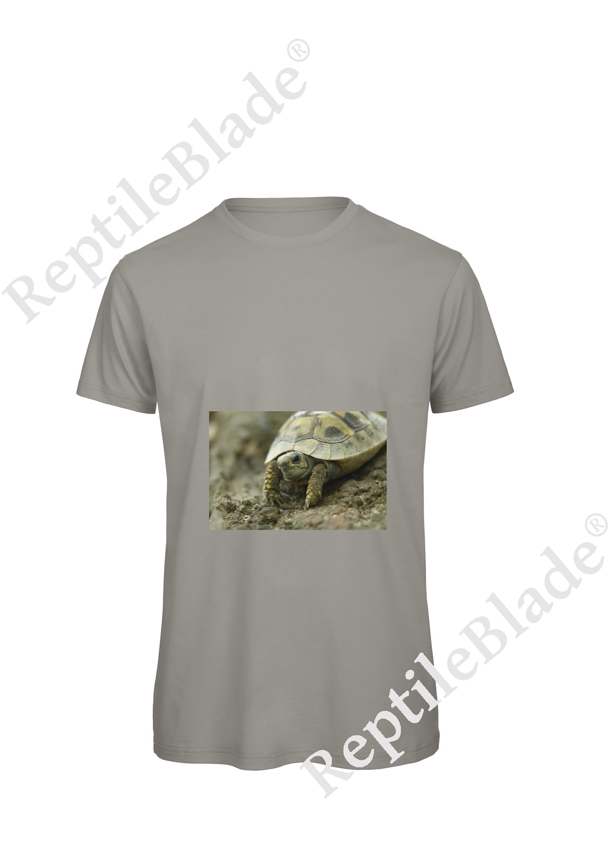 Miniature T-shirt homme "Lilo Tortues"