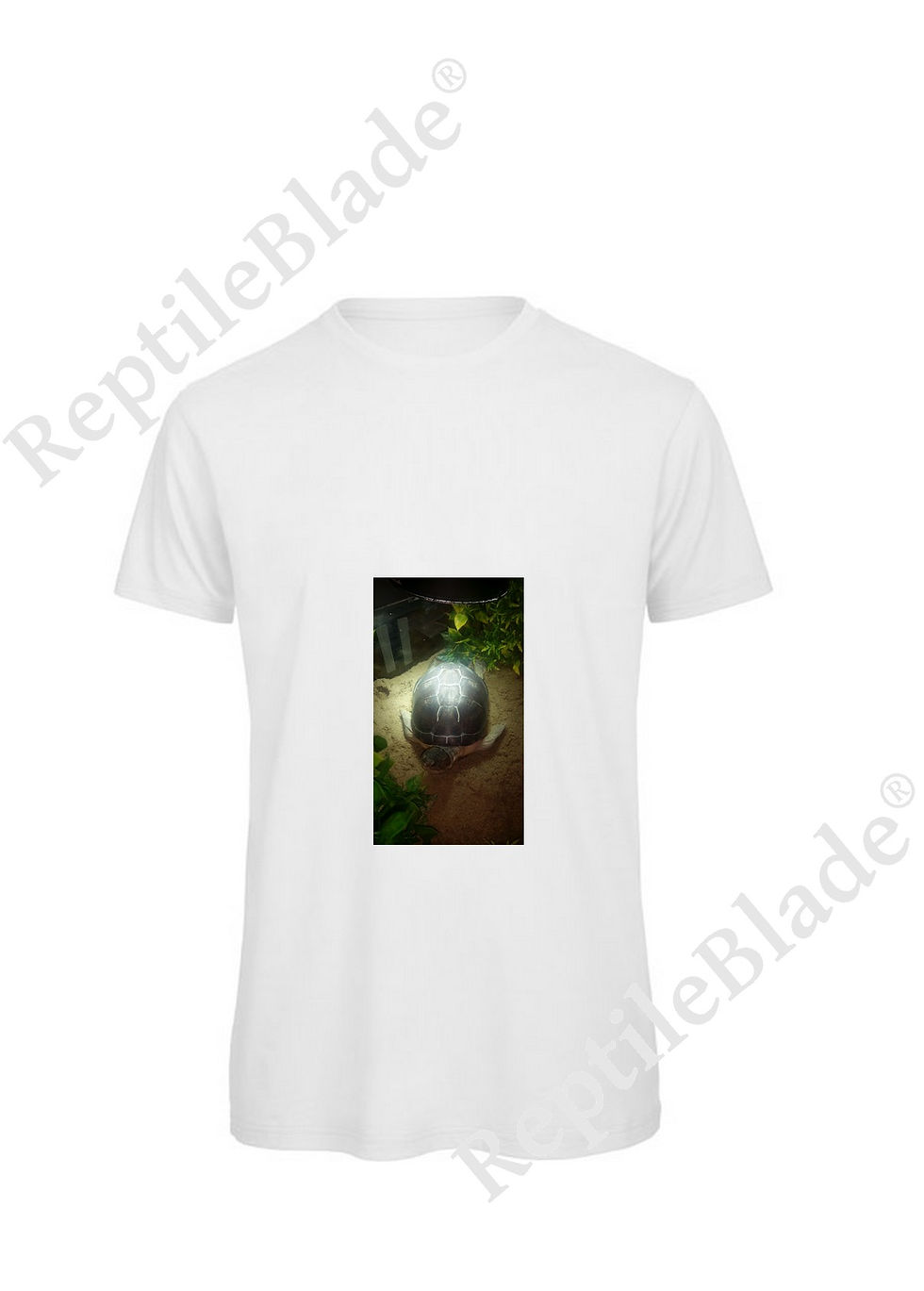 Thumbnail: T-shirt homme "Lilo tortues"