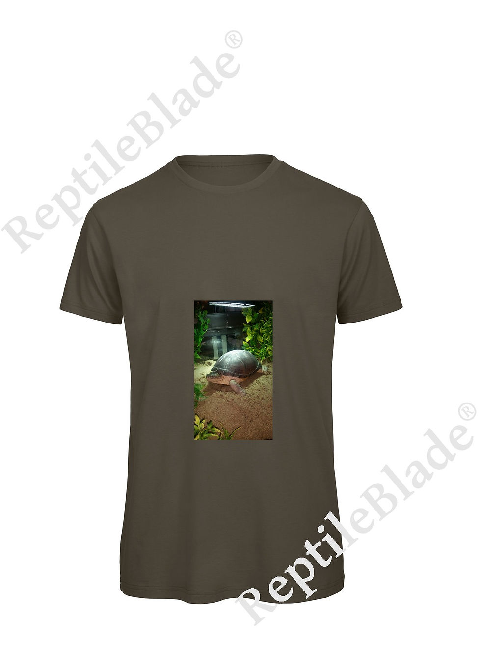 الصورة المصغرة: T-shirt homme "Lilo tortues"