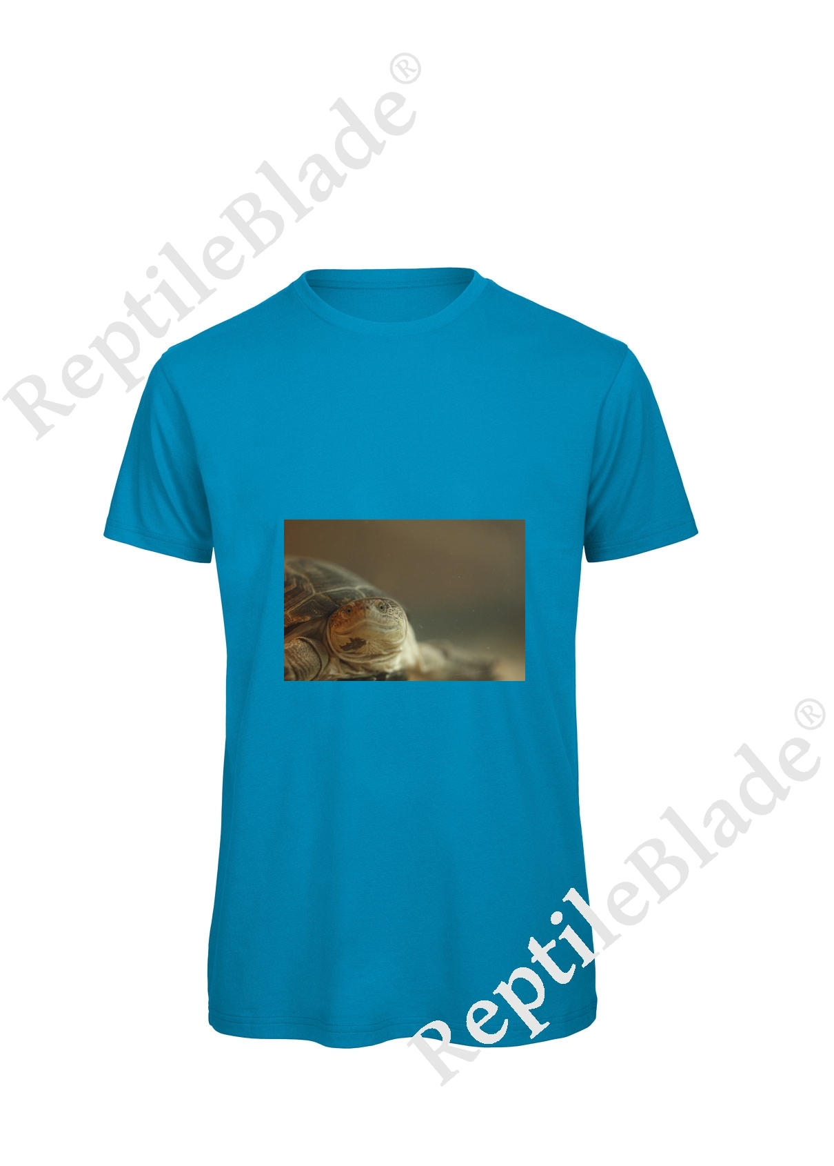Miniature T-shirt homme "Lilo Tortues"