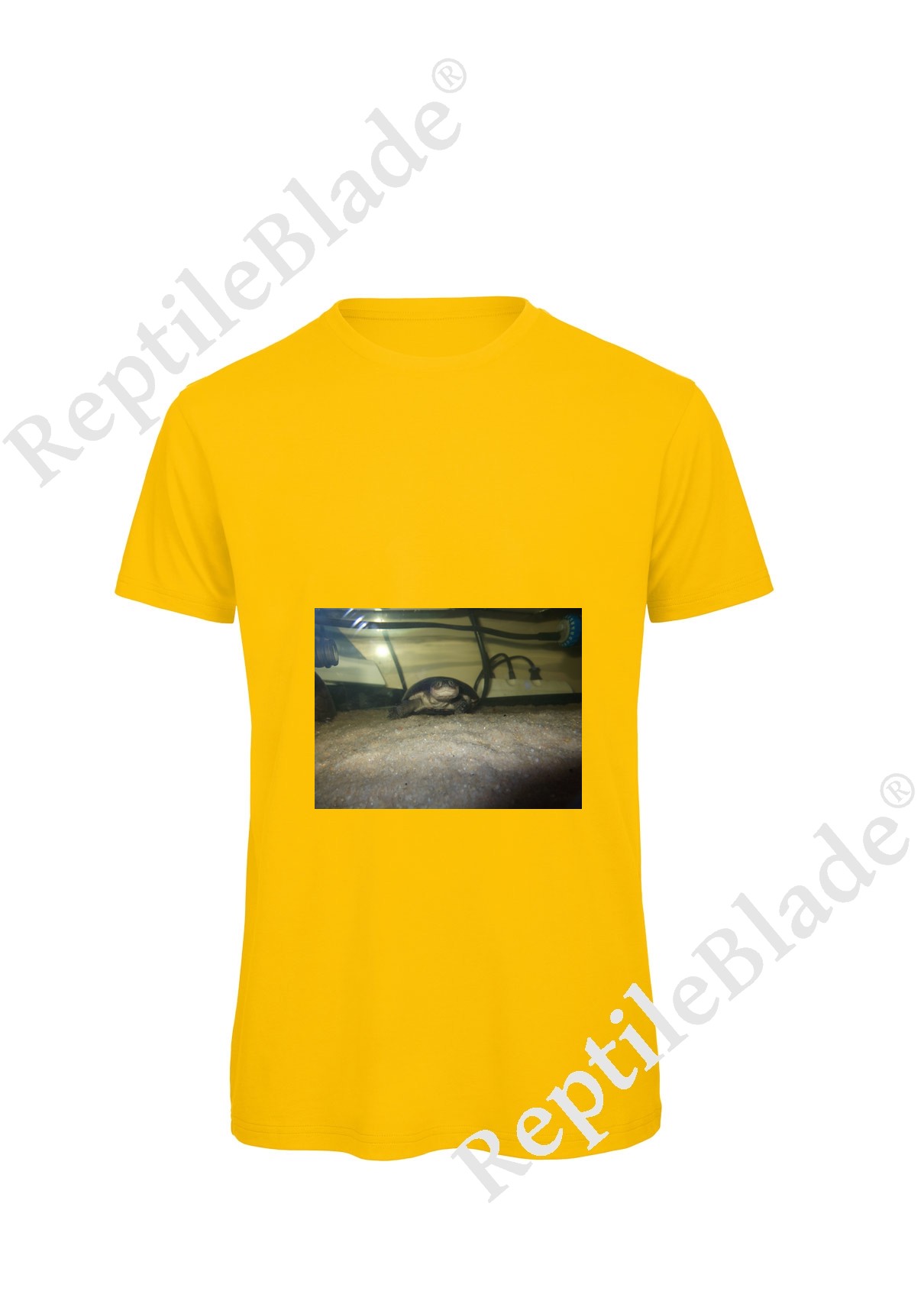 Miniature T-shirt homme "Lilo tortues"