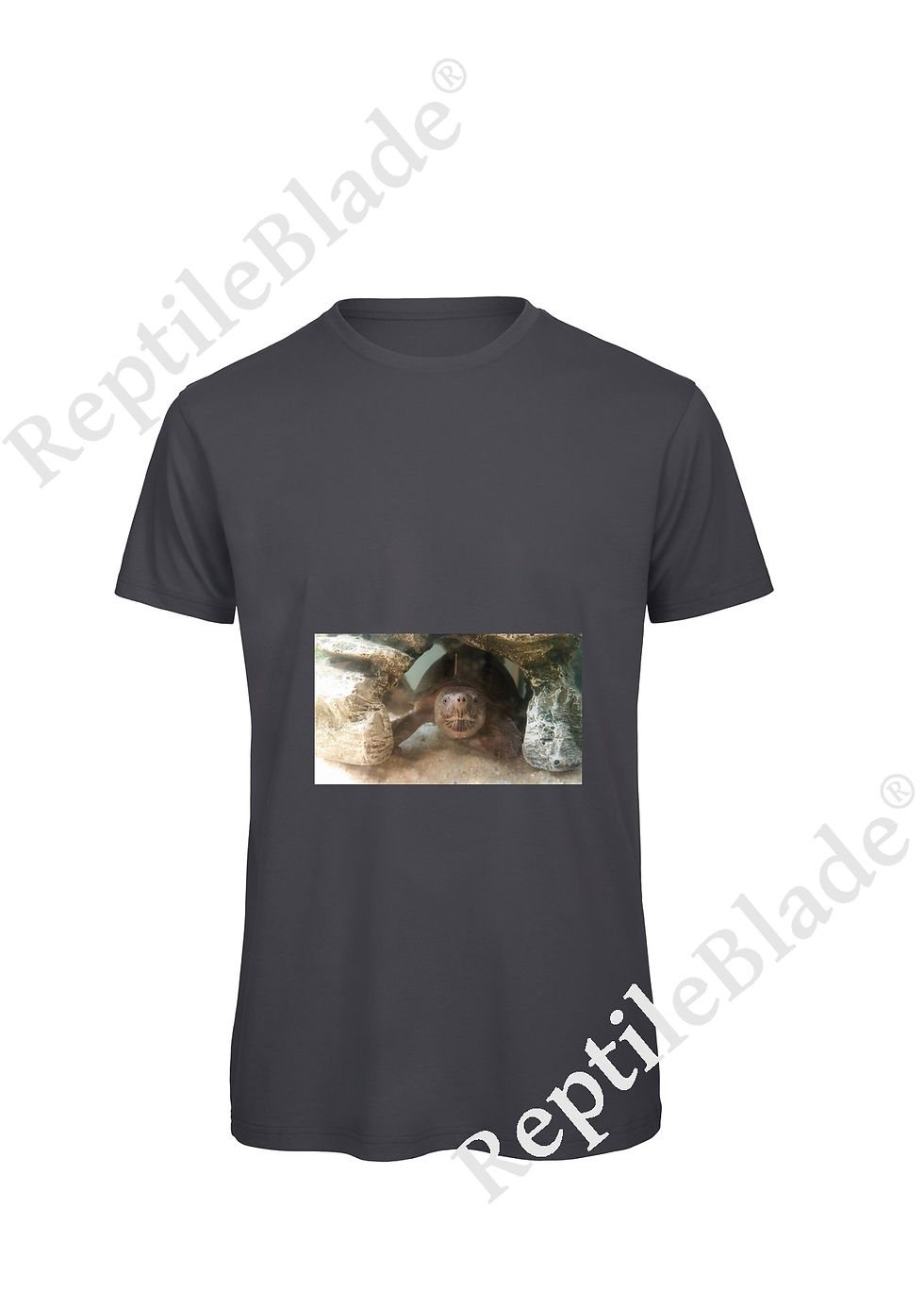 Thumbnail: T-shirt homme "Lilo tortues"