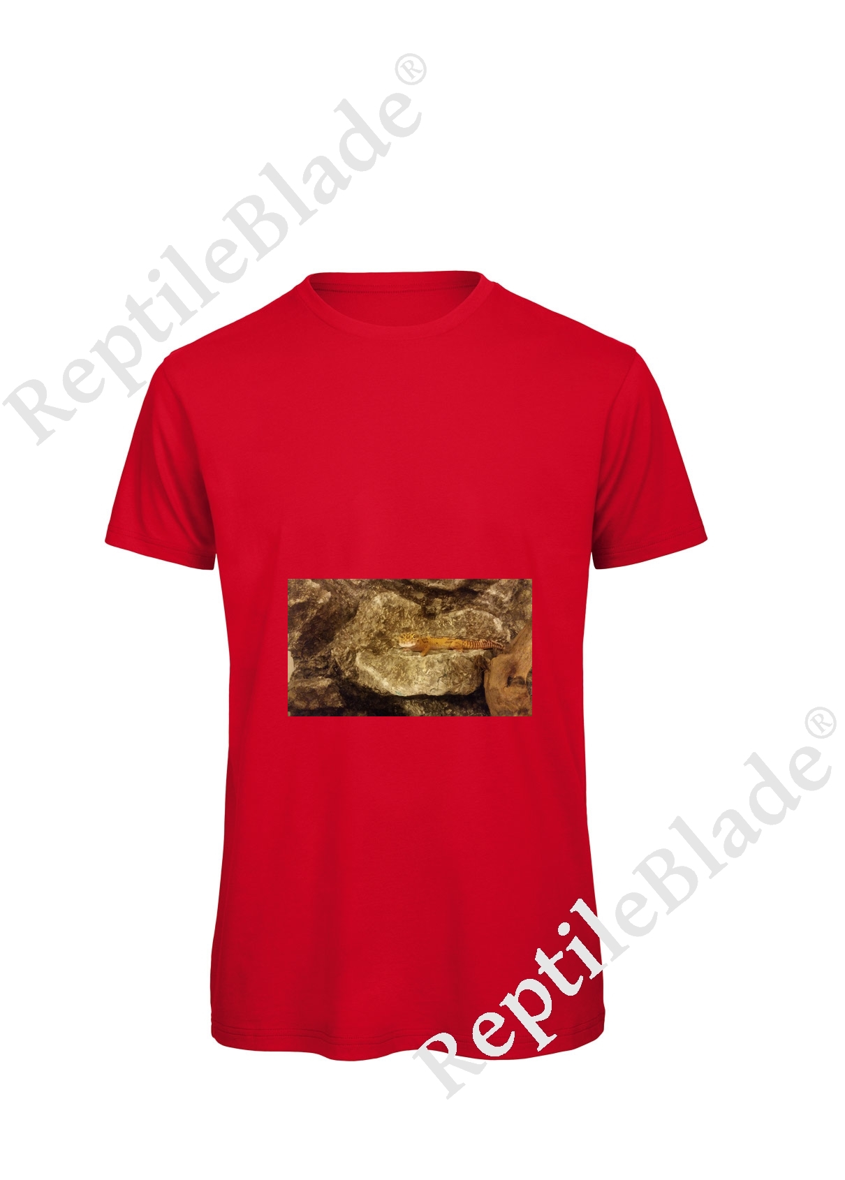 Miniature T-shirt homme "Lilo tortues"