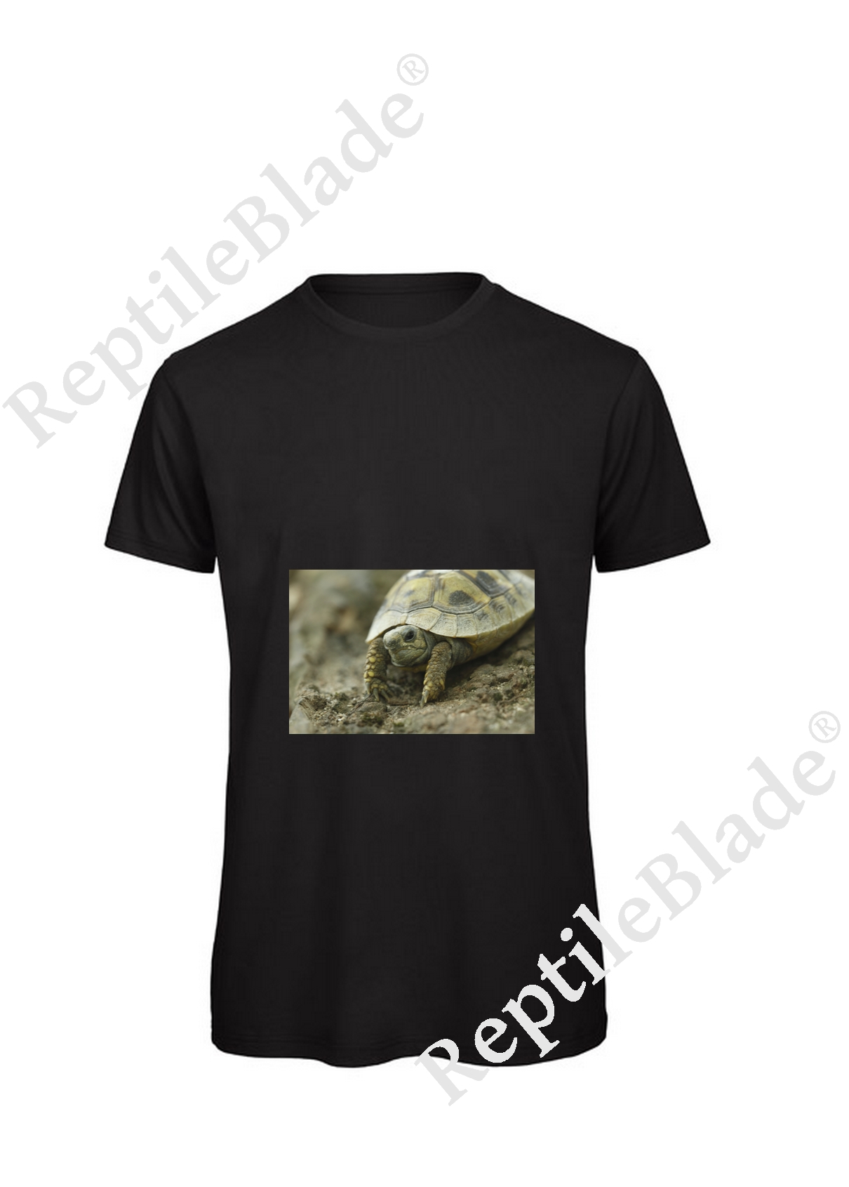 Miniature T-shirt homme "Lilo Tortues"