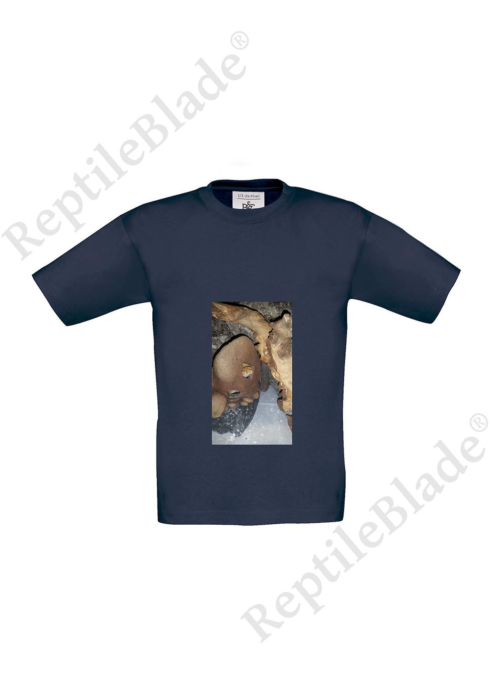 תמונה ממוזערת: T-shirt enfant "Lilo tortues"