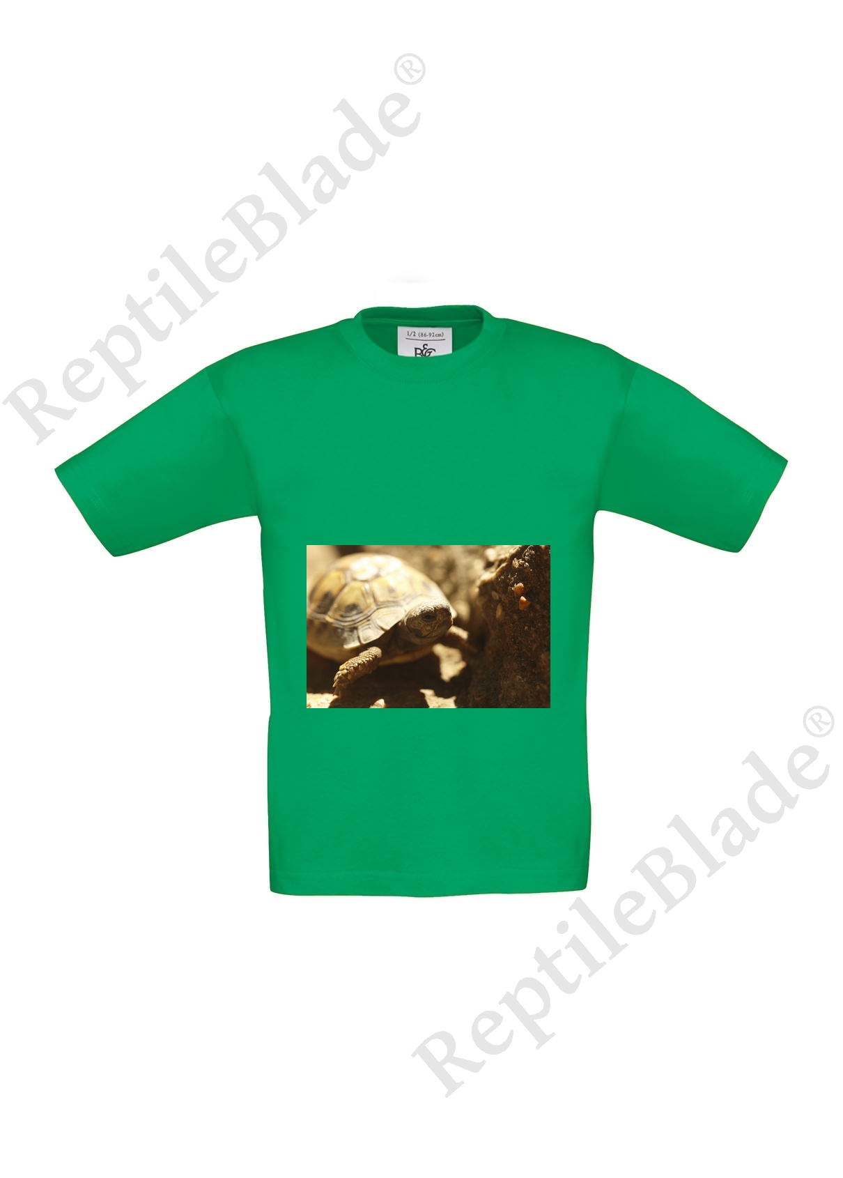 Miniature T-shirt enfant "Lilo tortues"