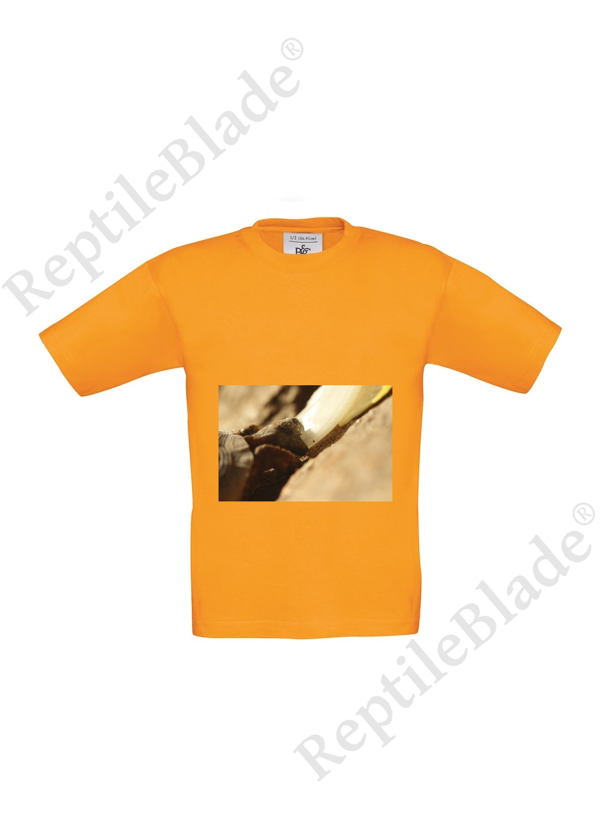 Miniature T-shirt enfant "Lilo tortues"