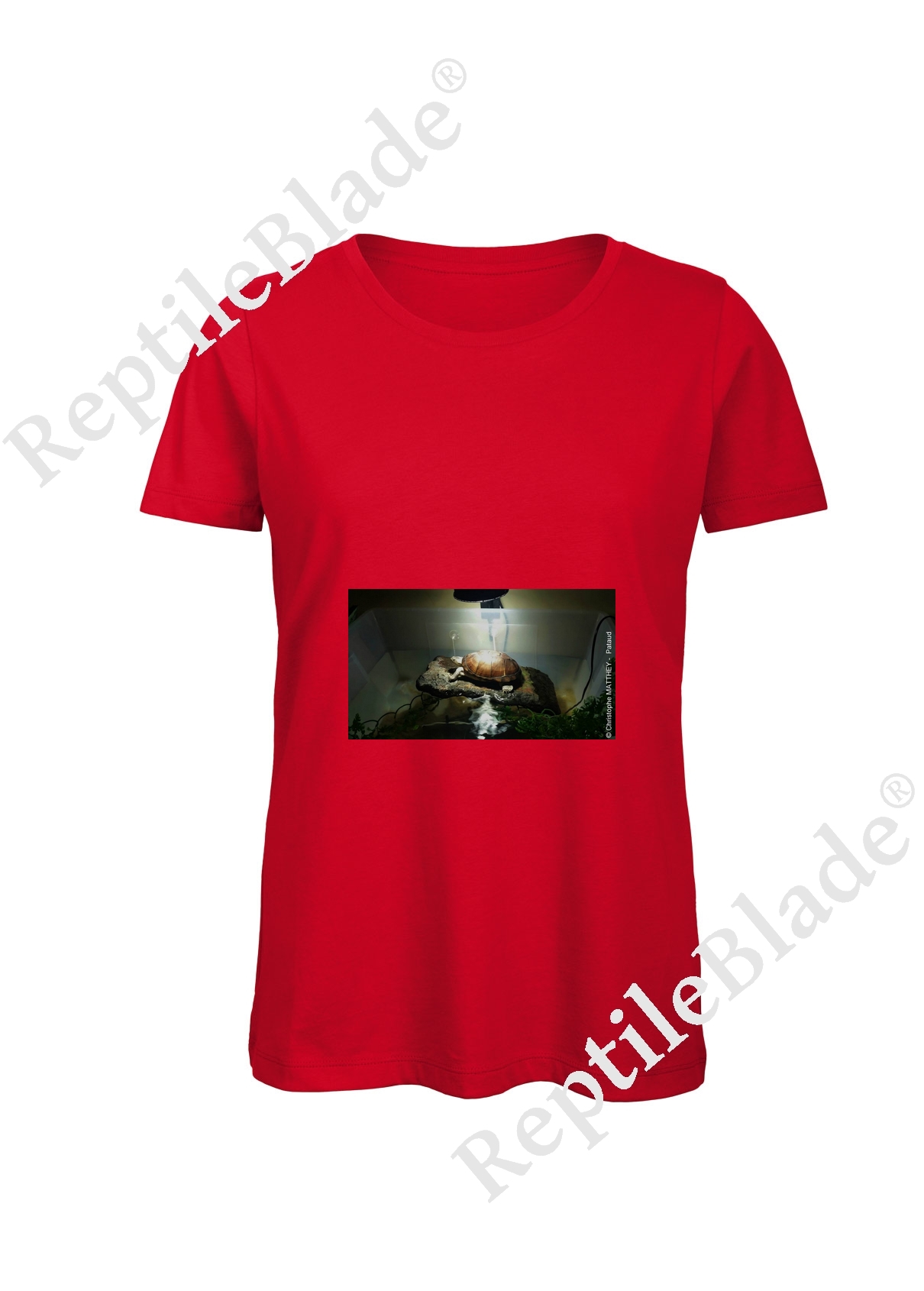 Miniature T-shirt femme "Lilo tortues"