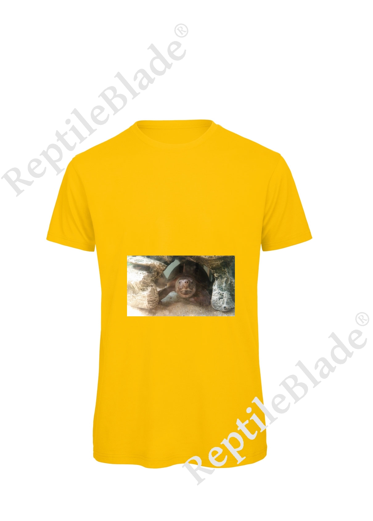 Miniature T-shirt homme "Lilo tortues"