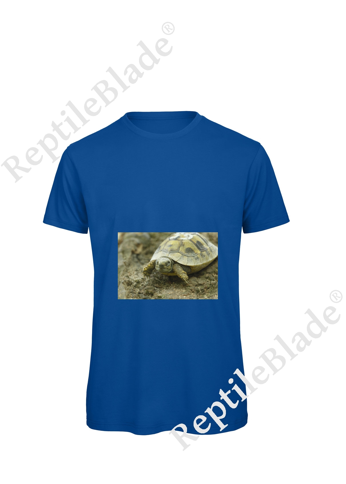 Miniature T-shirt homme "Lilo Tortues"