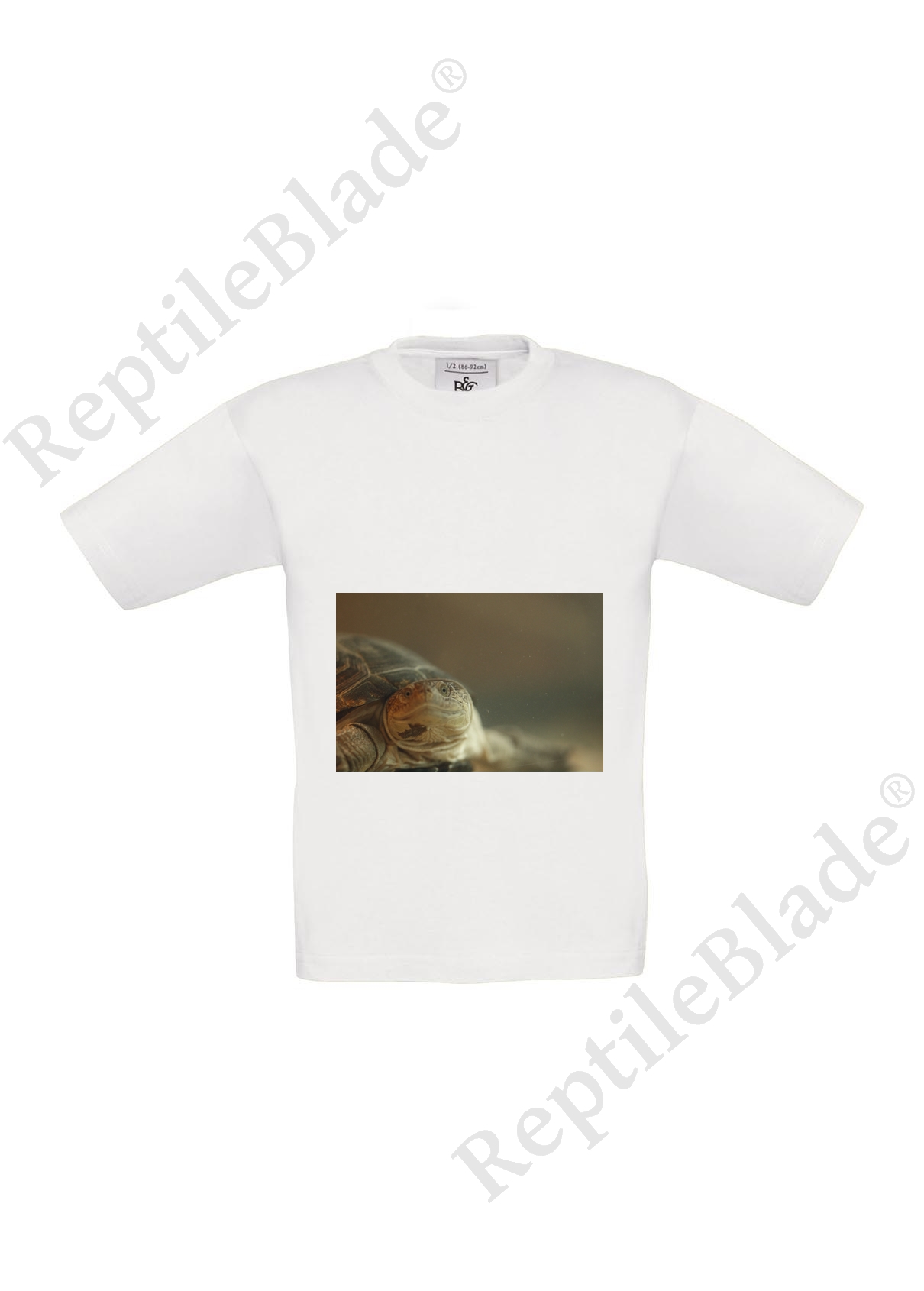 Miniature T-shirt enfant "Lilo tortues"